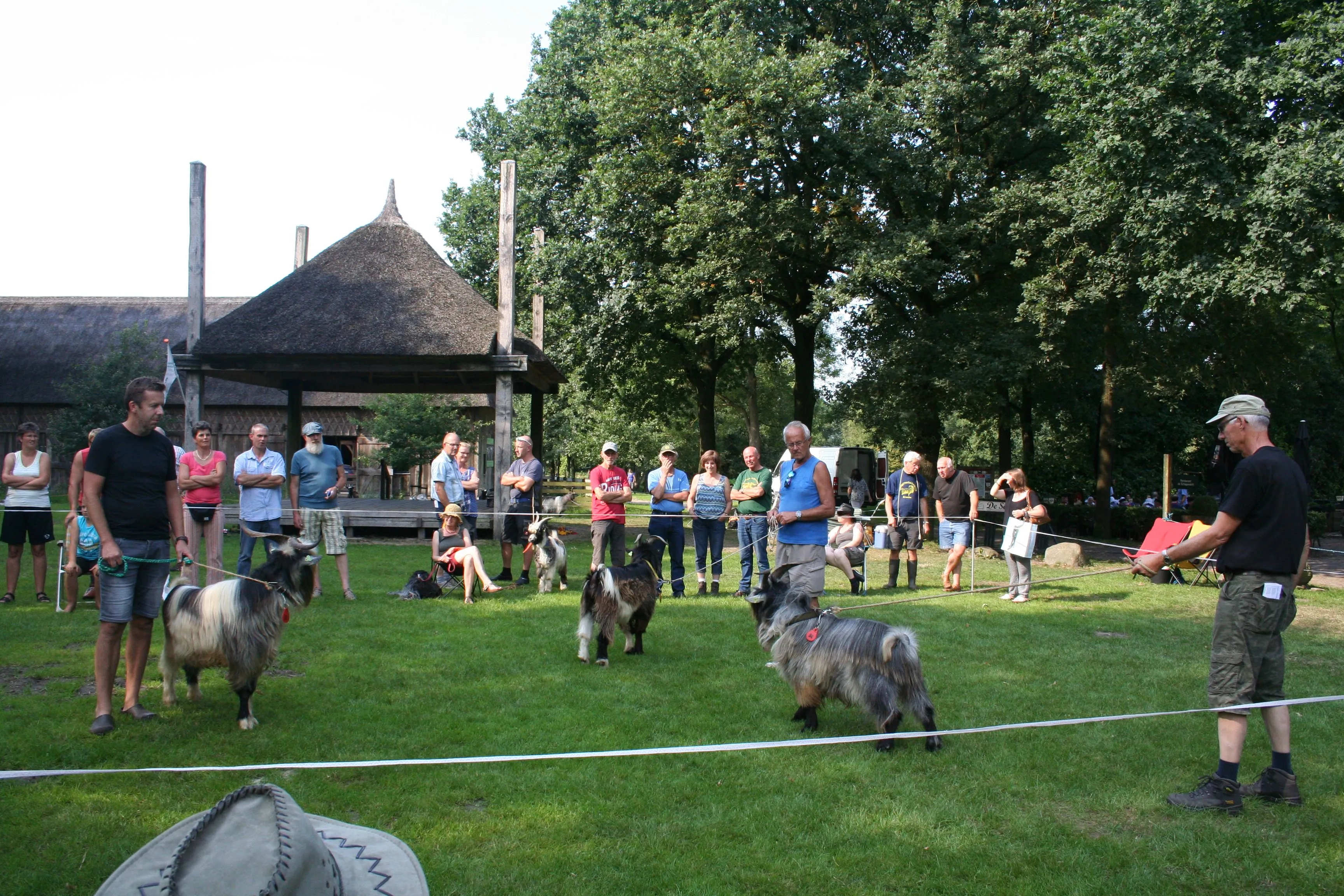 geitenkeuring 2