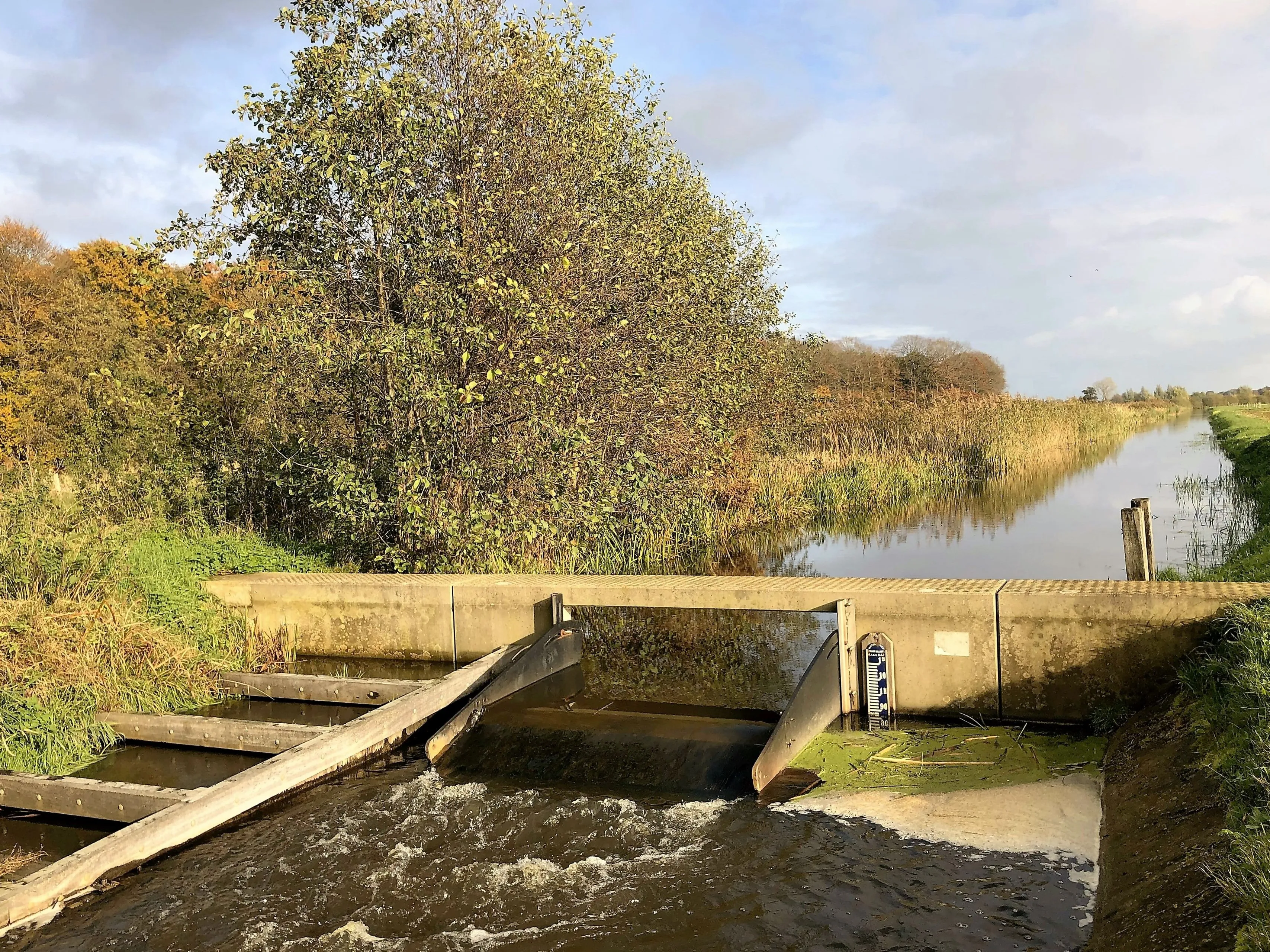 grondwater stuw