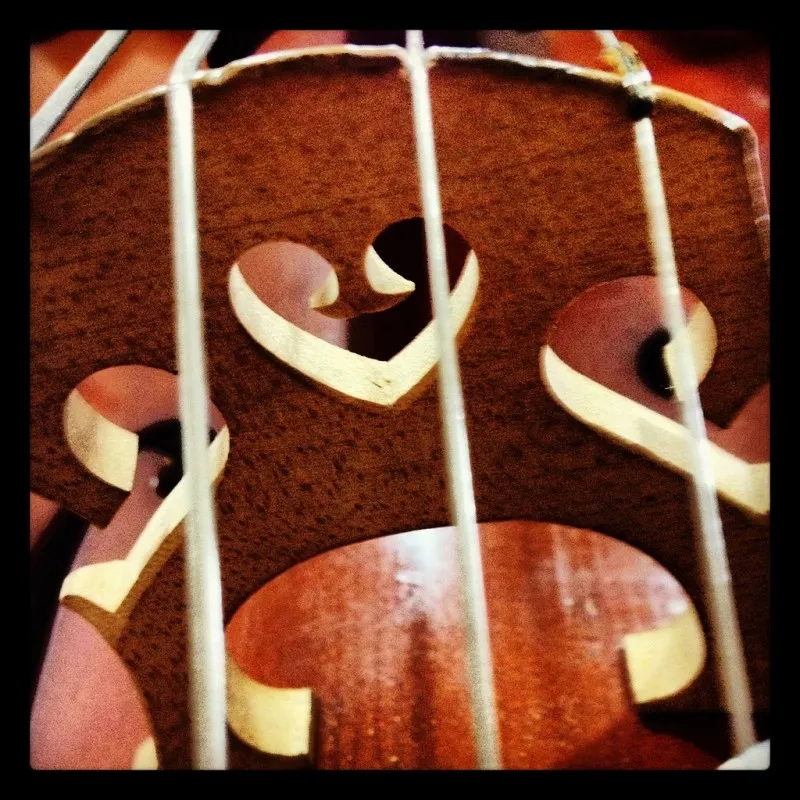 heart of cello foter cc by nd