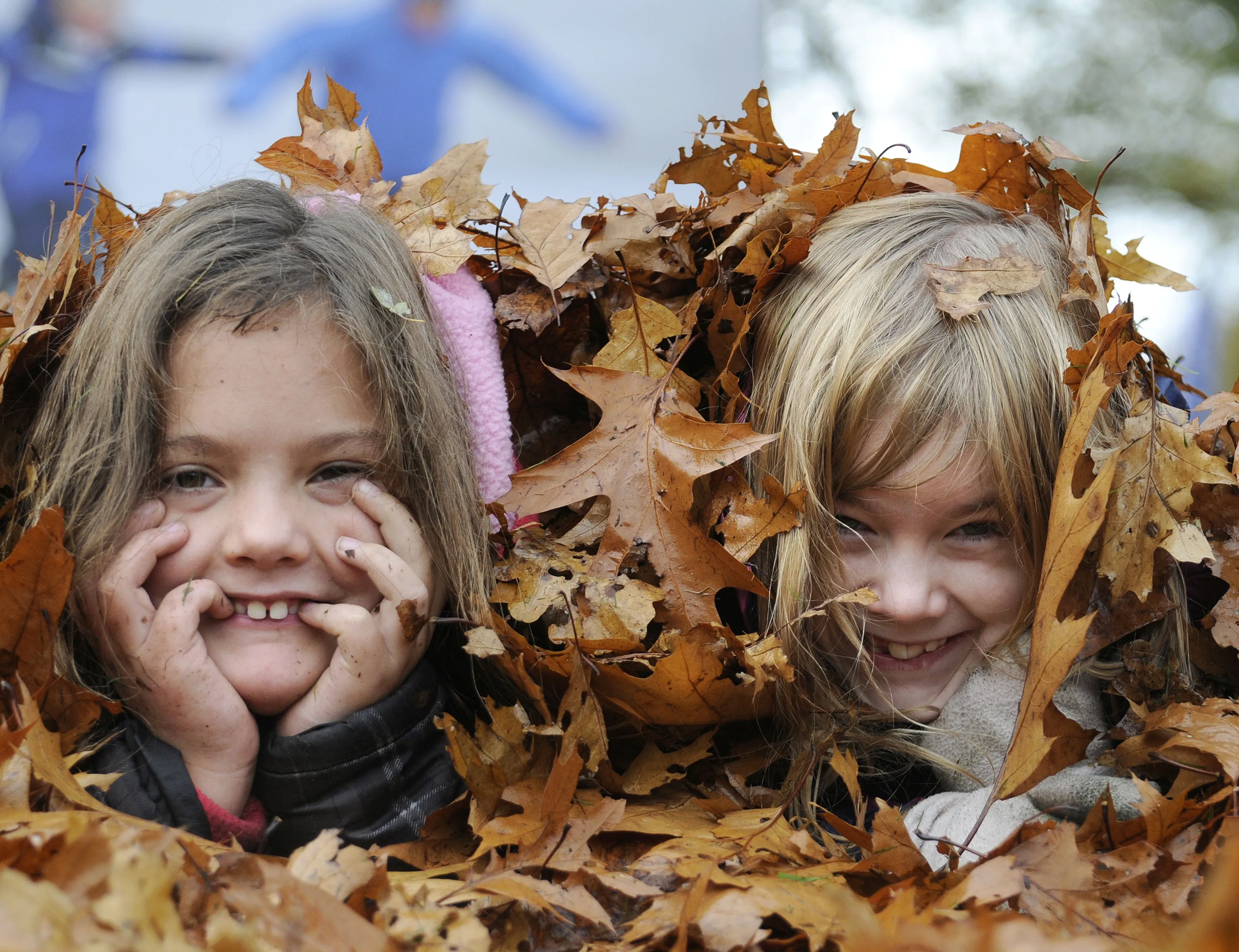 herfst bladeren pauline joosten