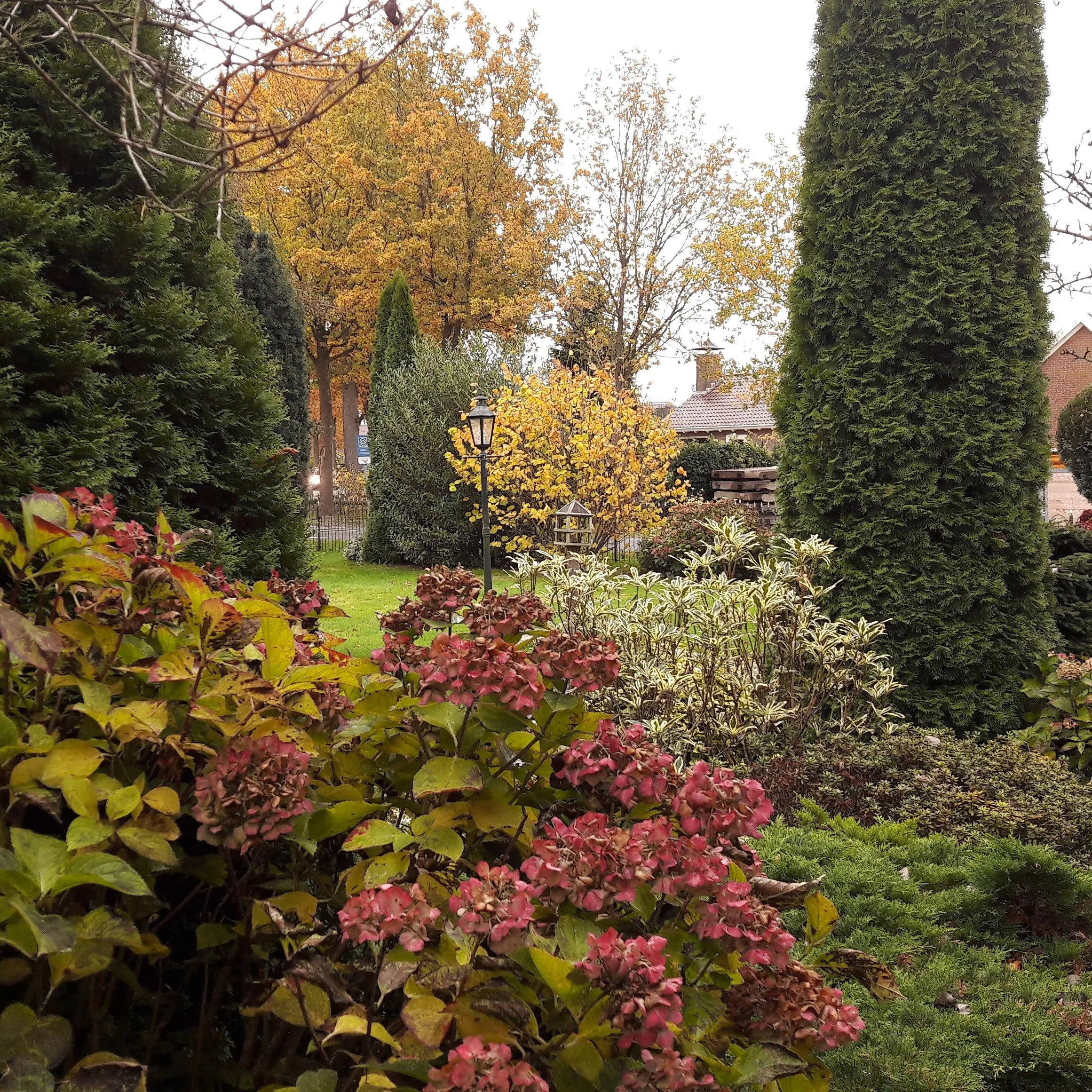herfsttuin weerwille1