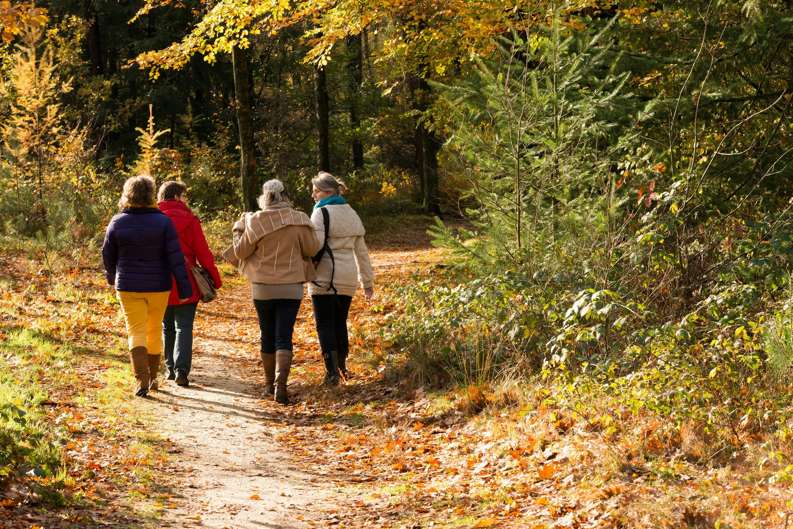 herfstwandeling rene koster