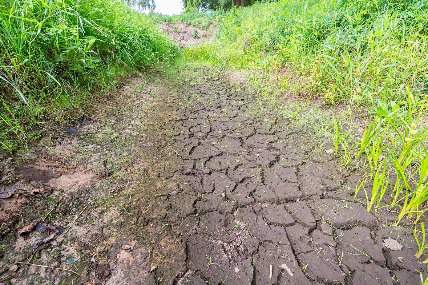 istock droogte