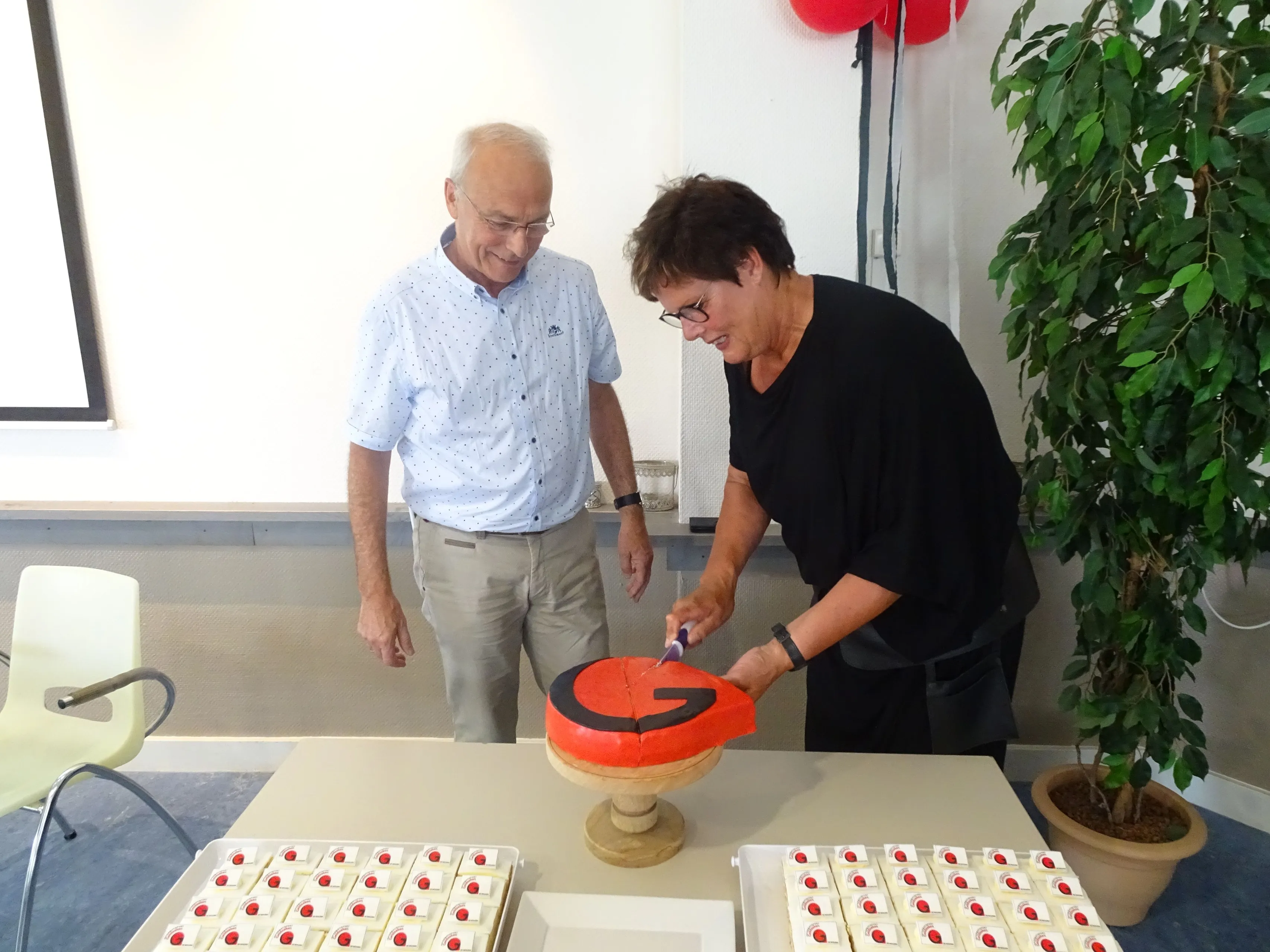 jan van t zand en gerrie de roo