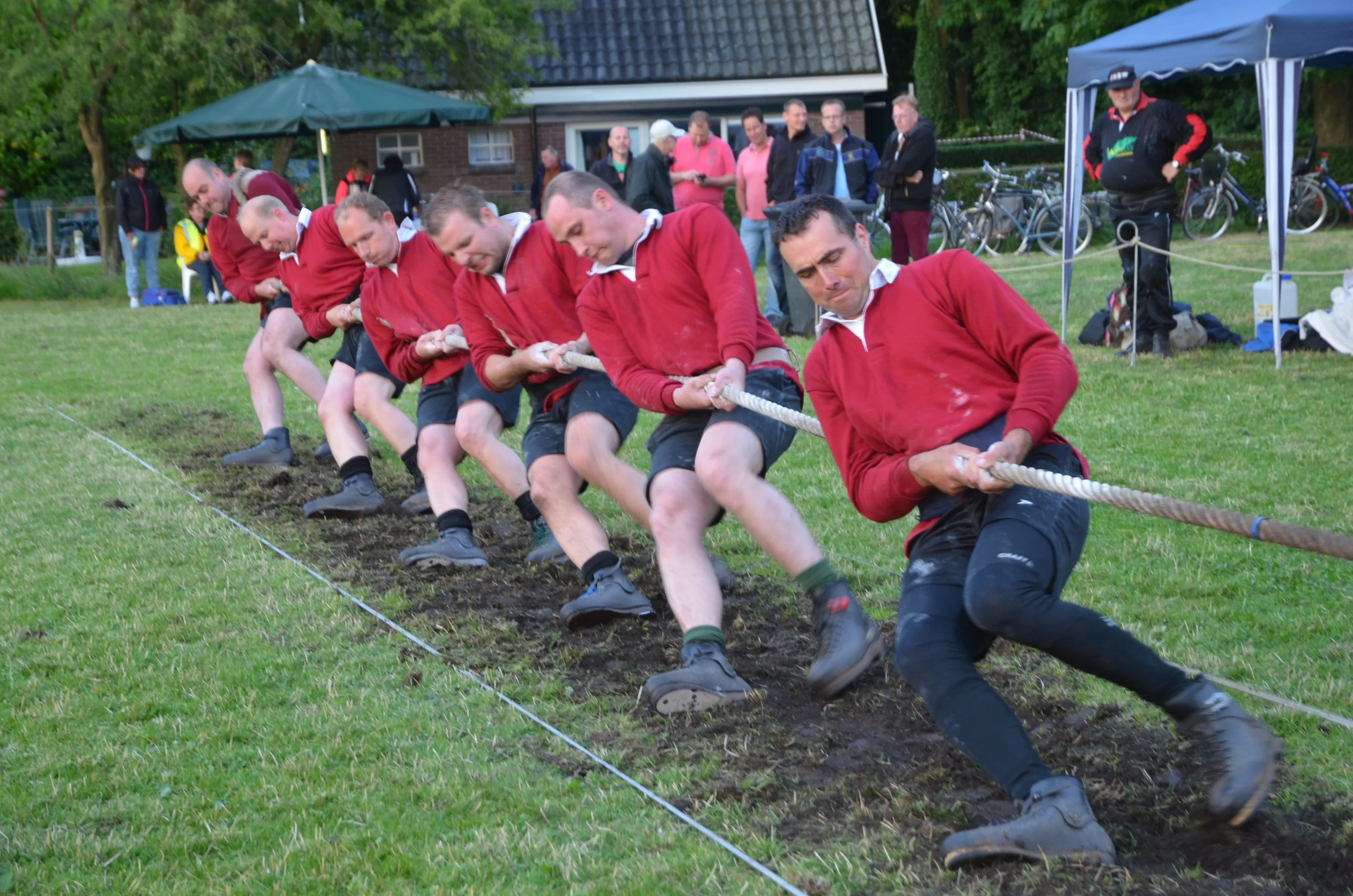 kastelein 1 origineel 002