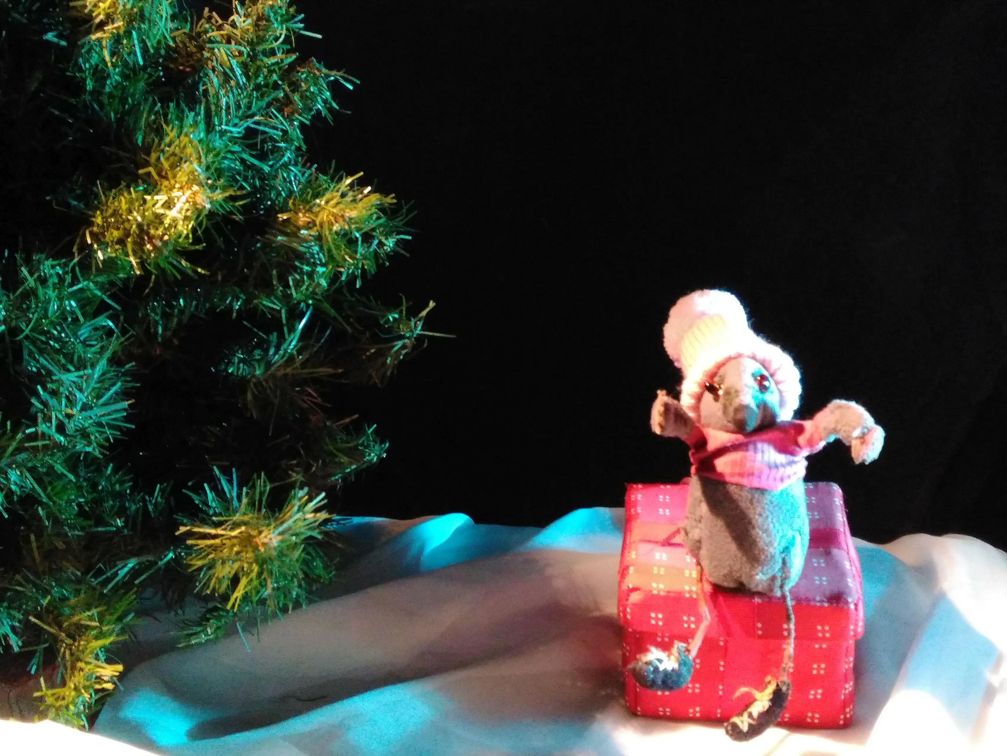 kleine muis en het pakje 002