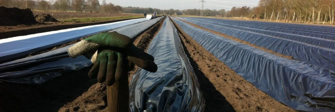 kwekerij weiland 1280x430