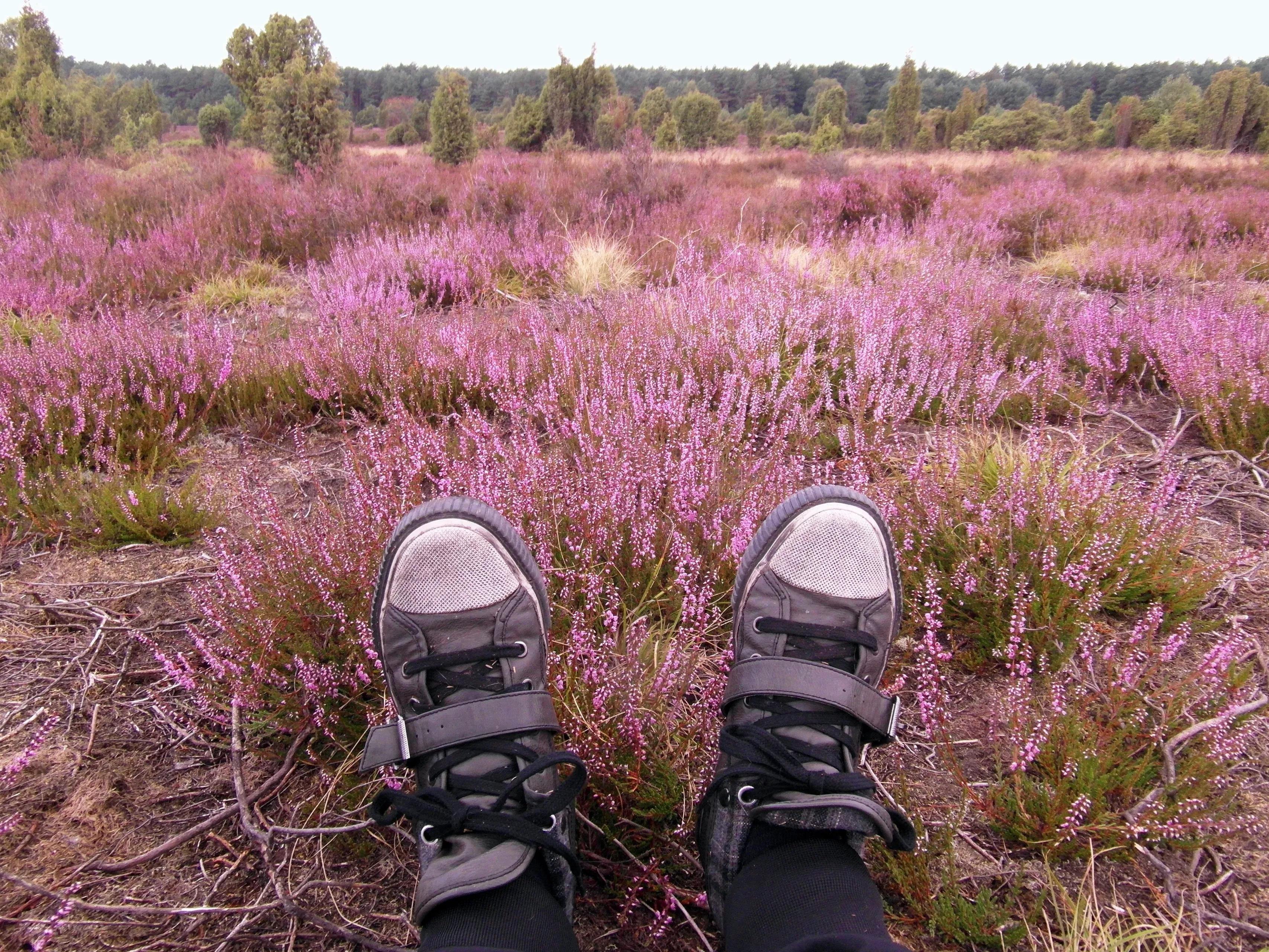 leukste plekje drenthe2