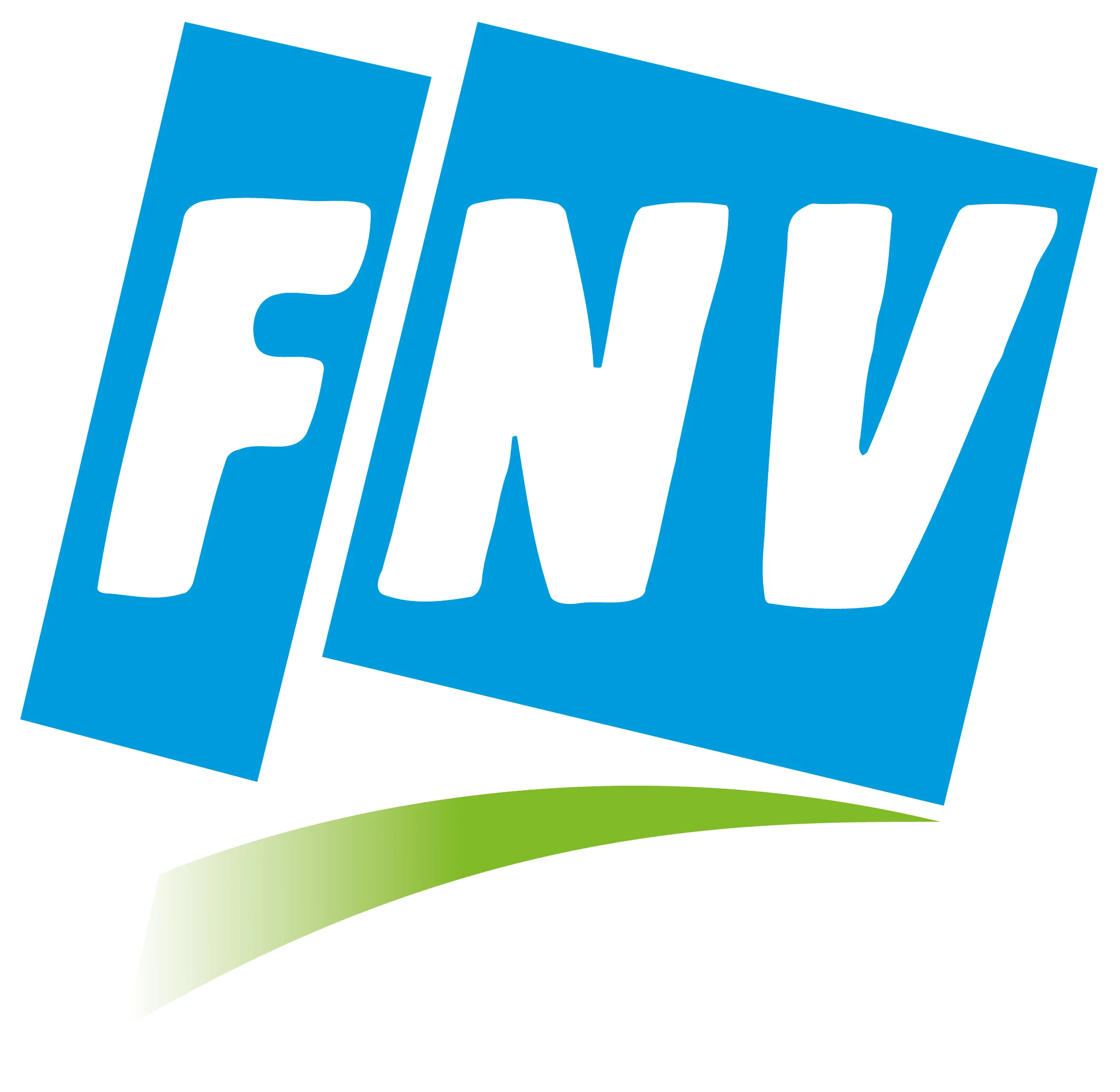 logo fnv