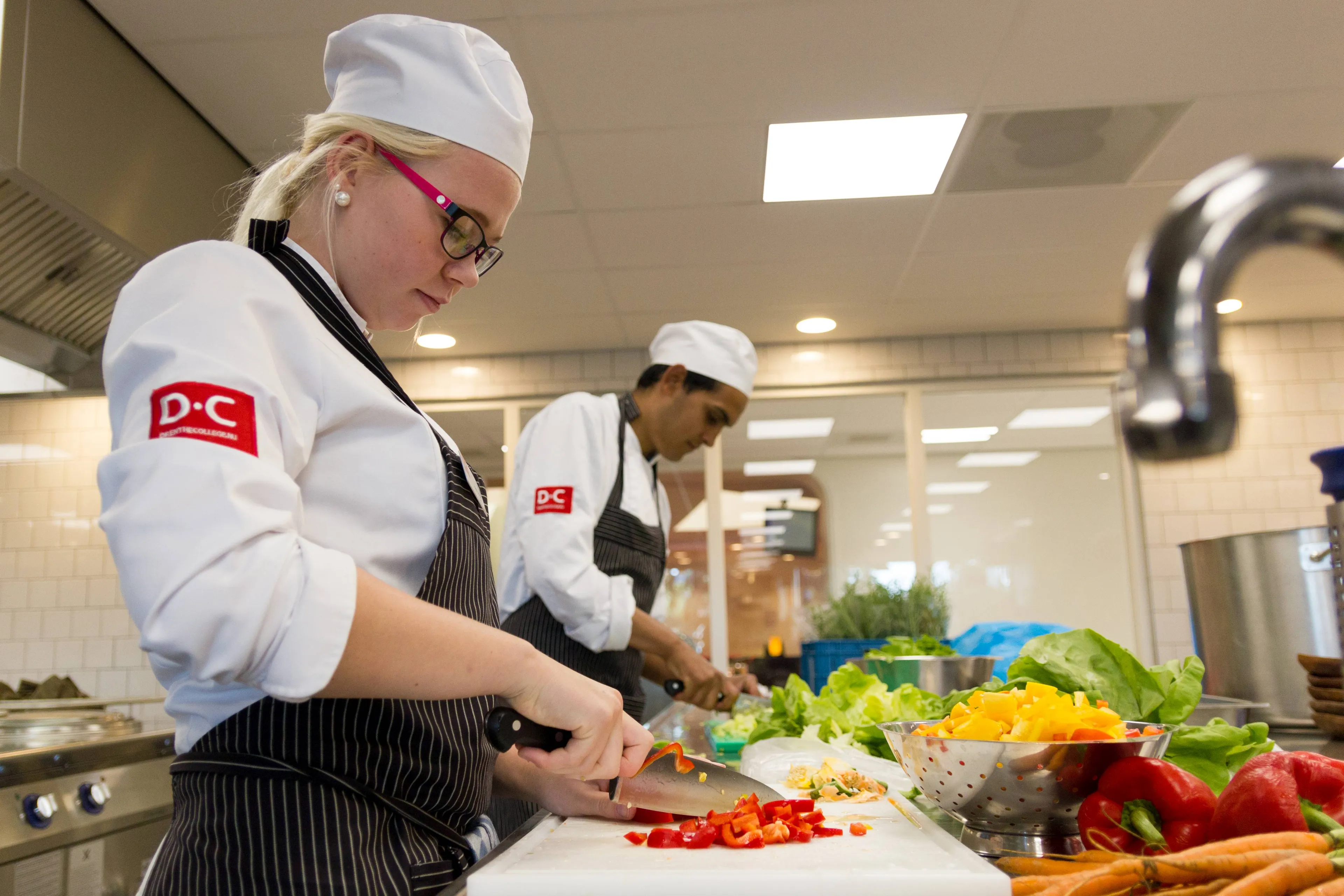 meppel studenten drenthe college