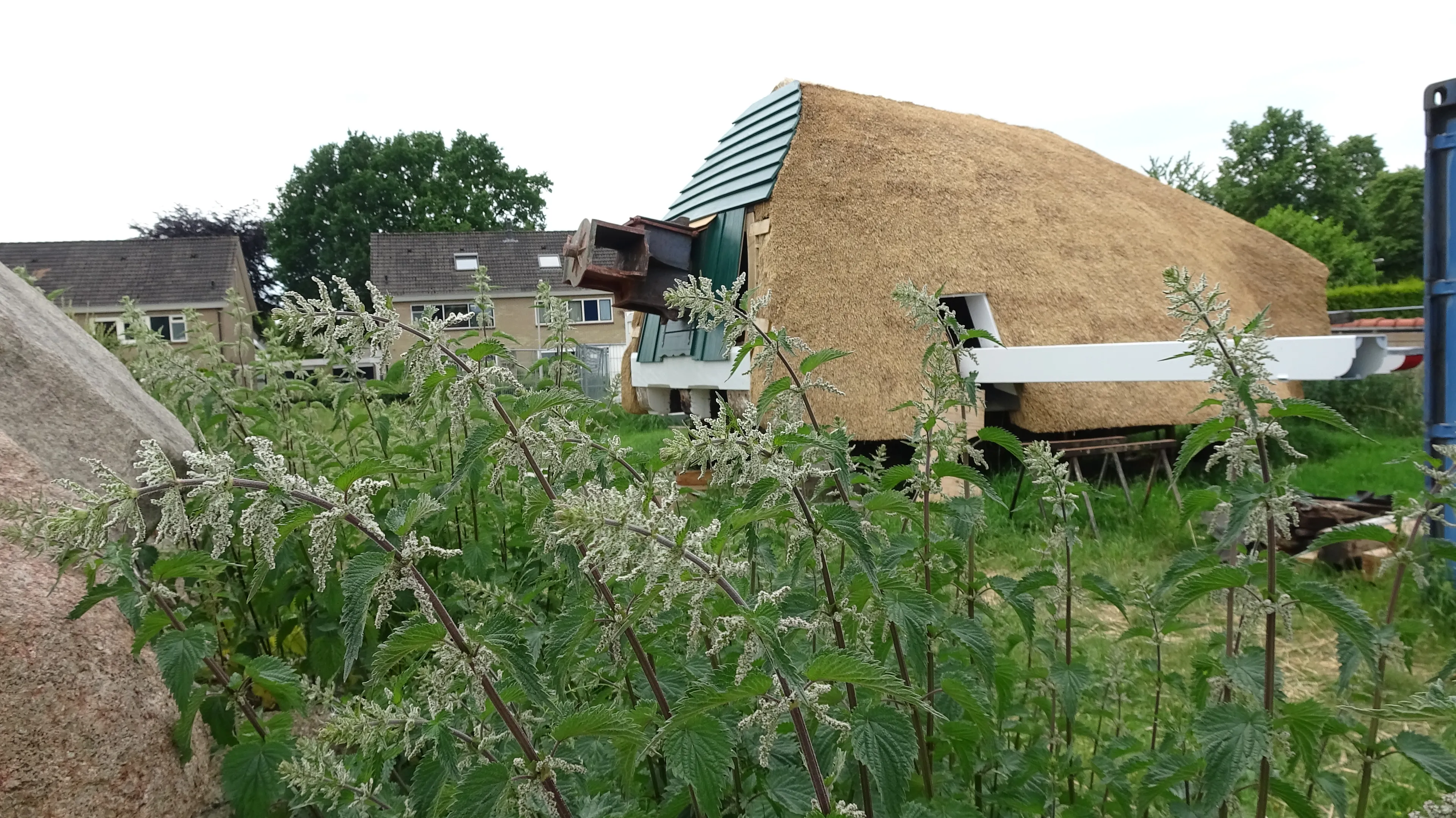 meule van wassens juni 2019 foto dienke dorland