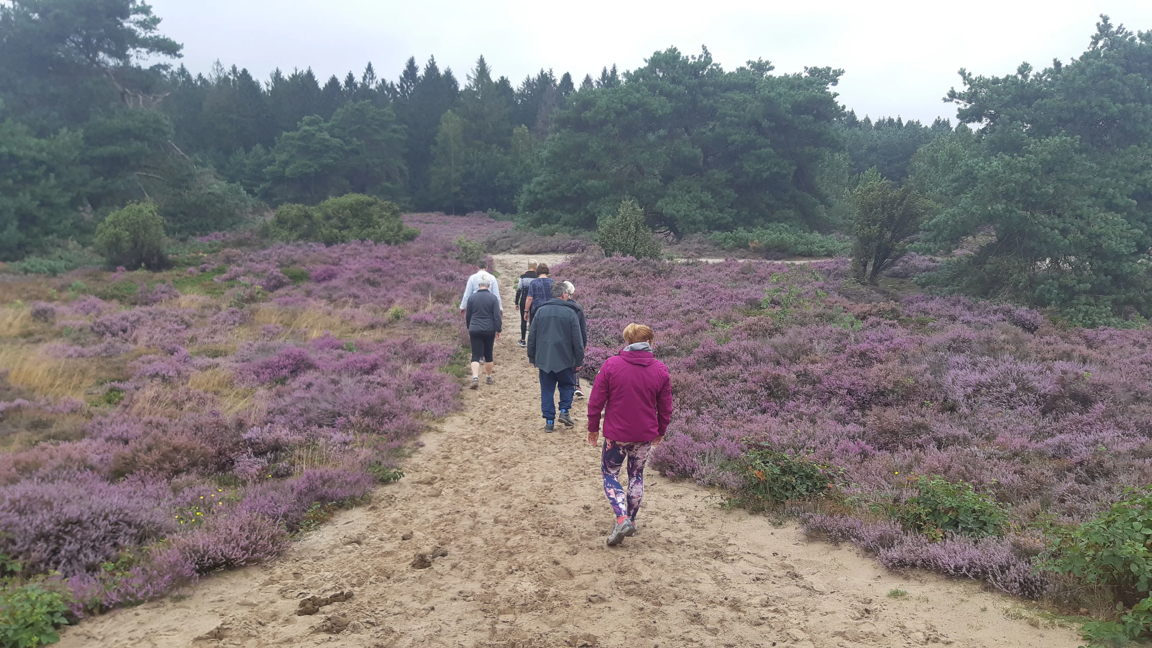 mind walk nienke veurink echtenerzand