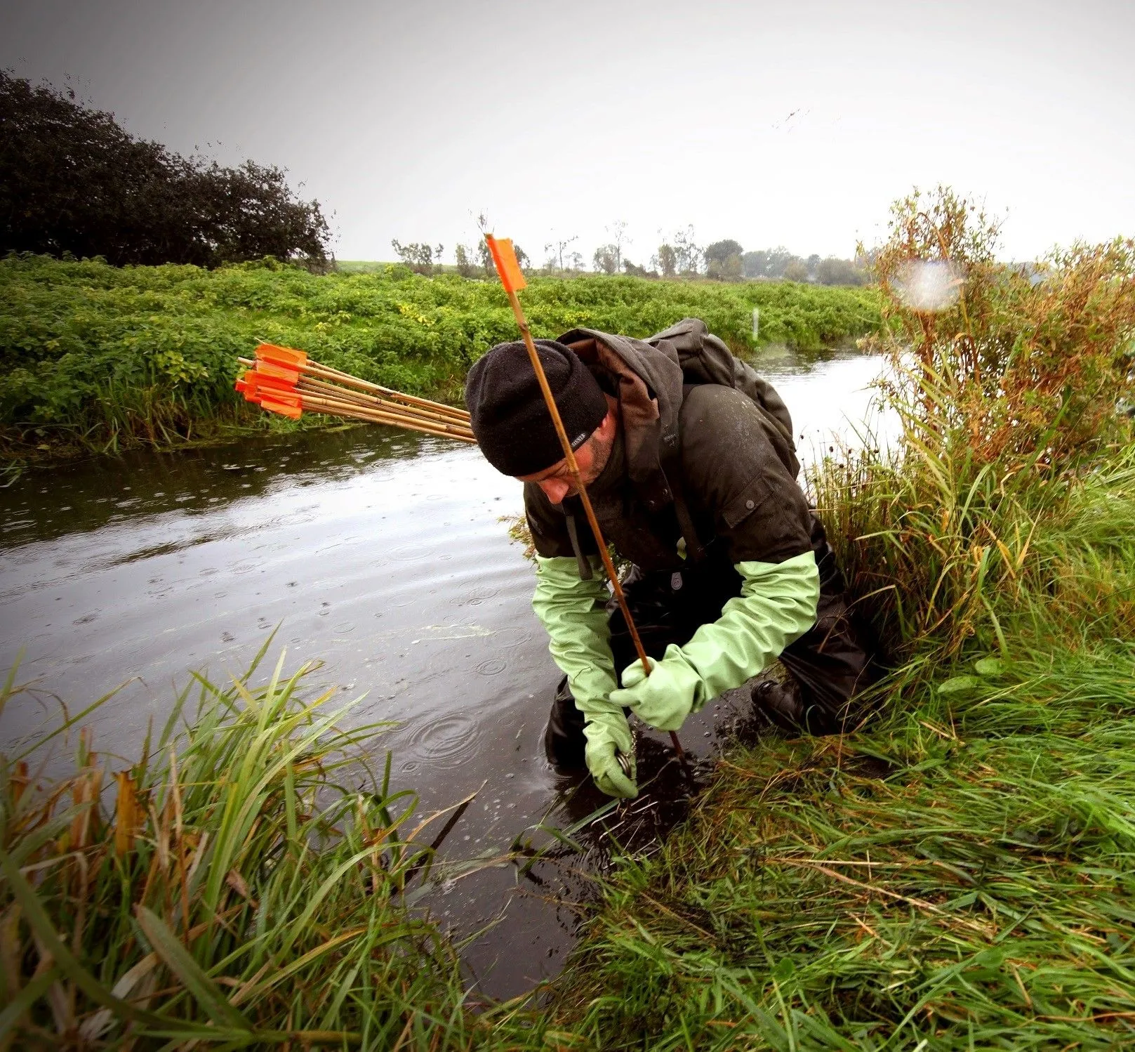 muskusrattenbestrijding1