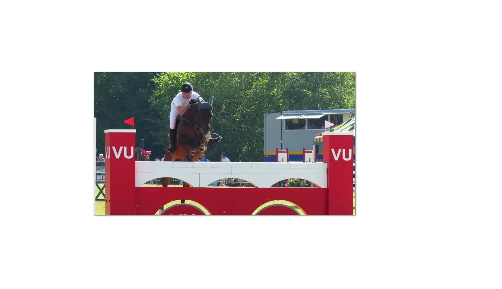 muurgroot