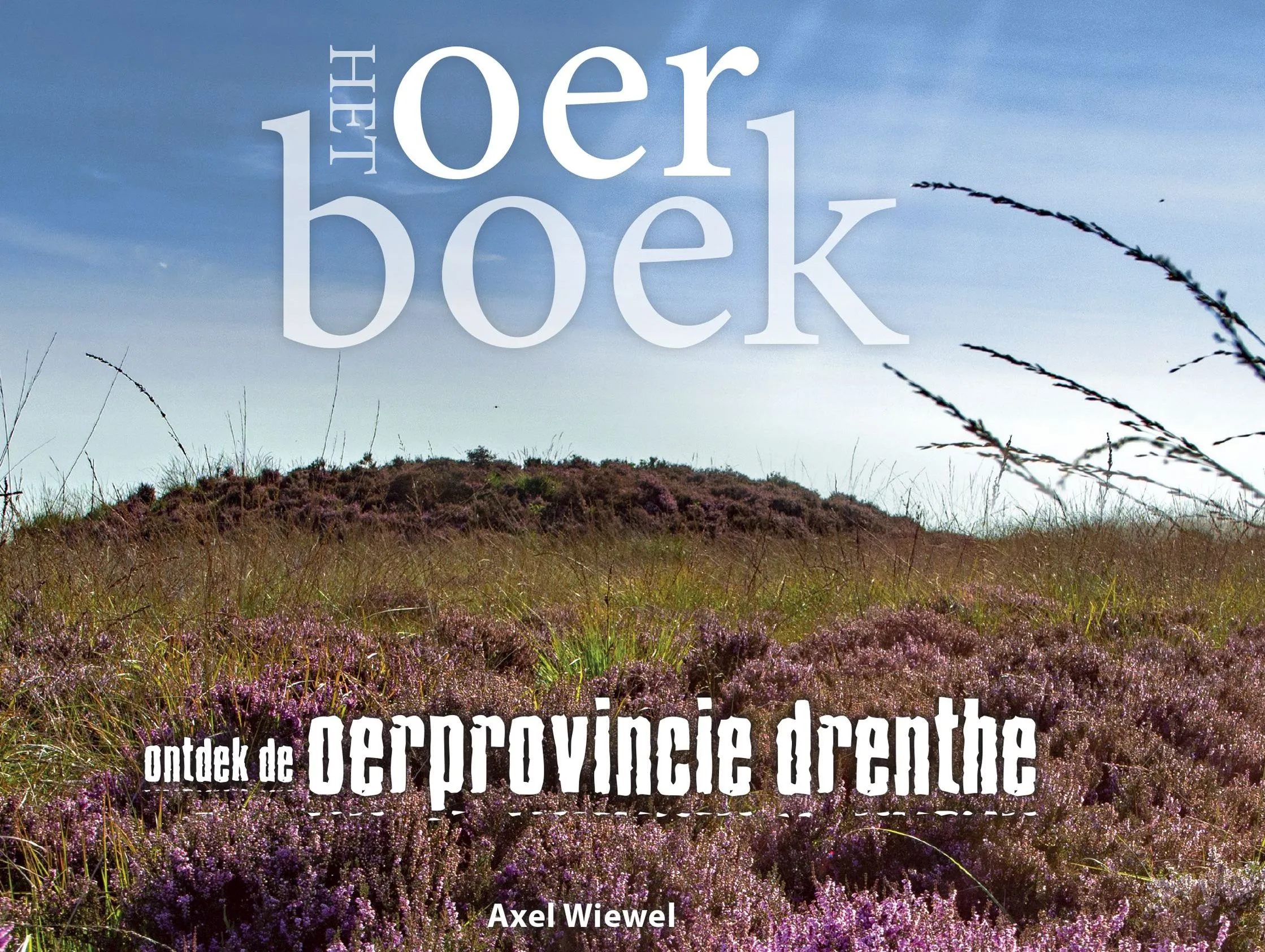 oerboek 2 omslag axel wiewel