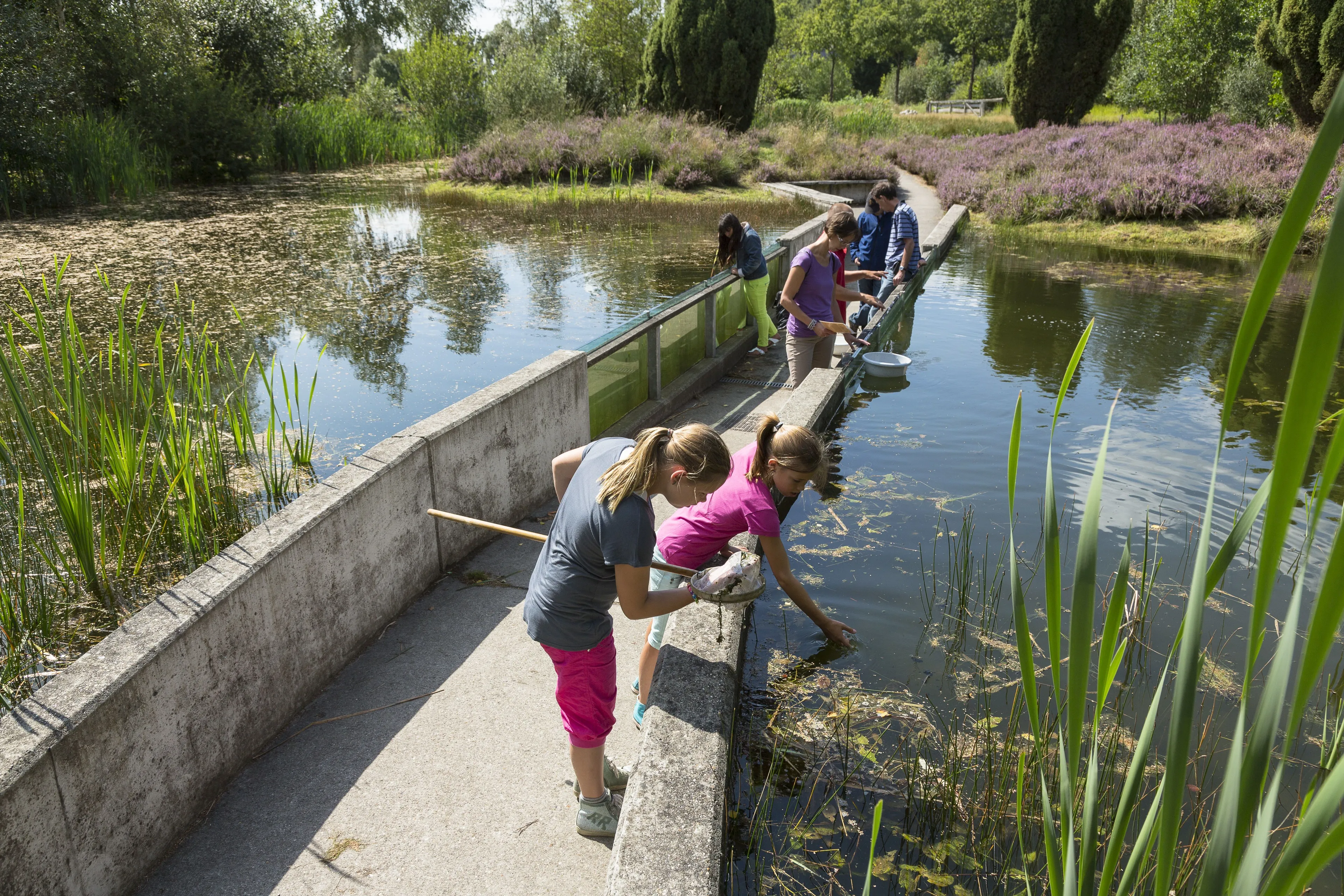 opstap 1007 waterdiertjes vangen natuurmonumenten 002