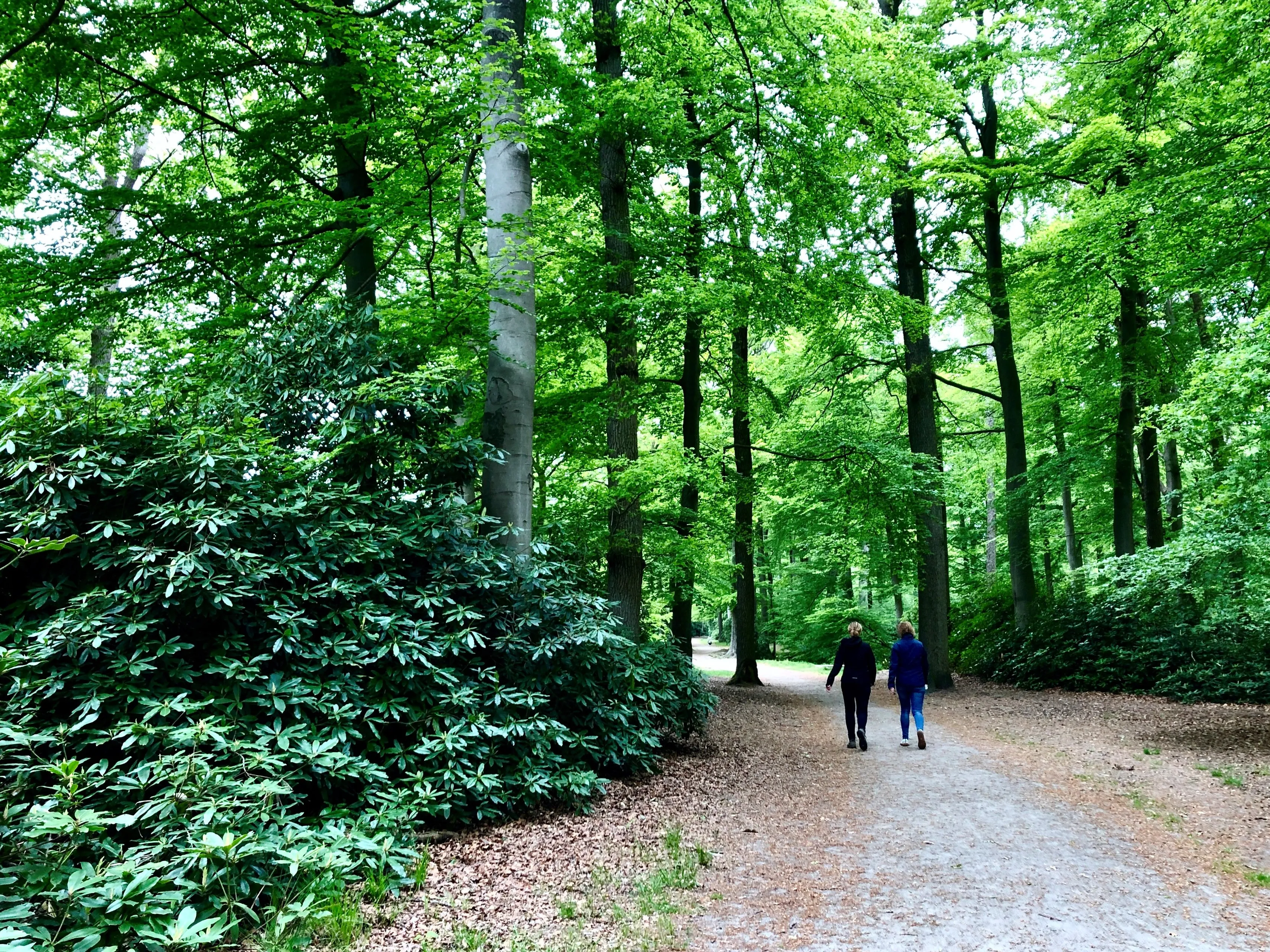 opstap 2108 routeapp wandelaars cb