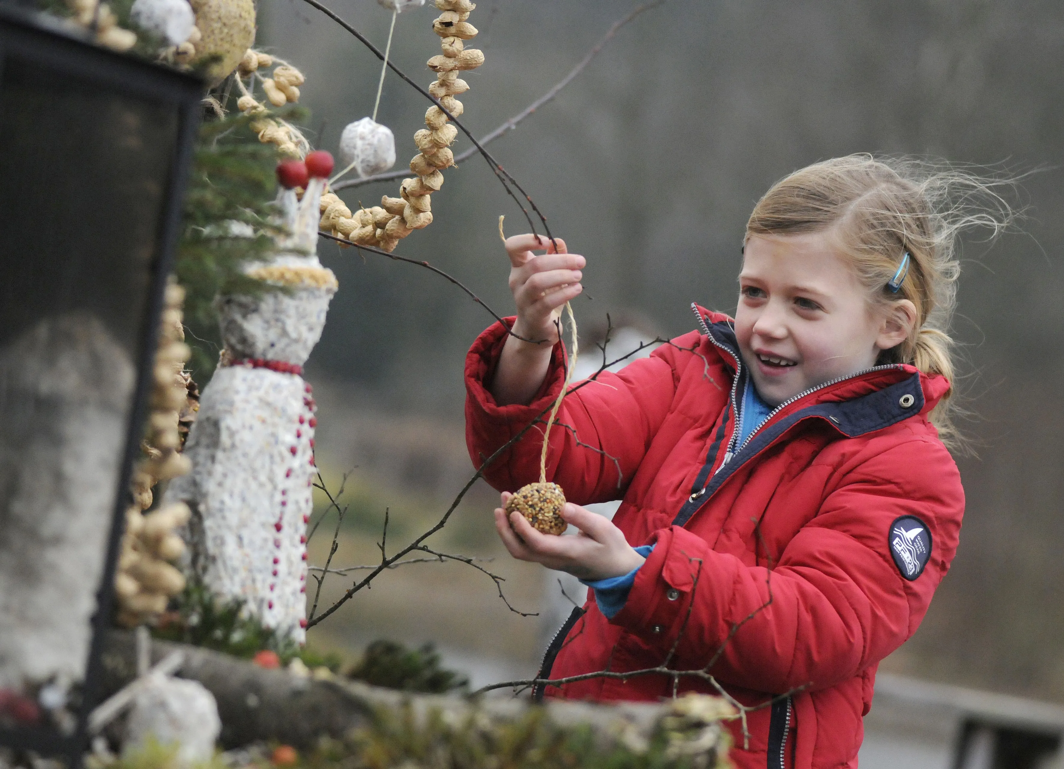 opstap vogel snack rob doolaard 002