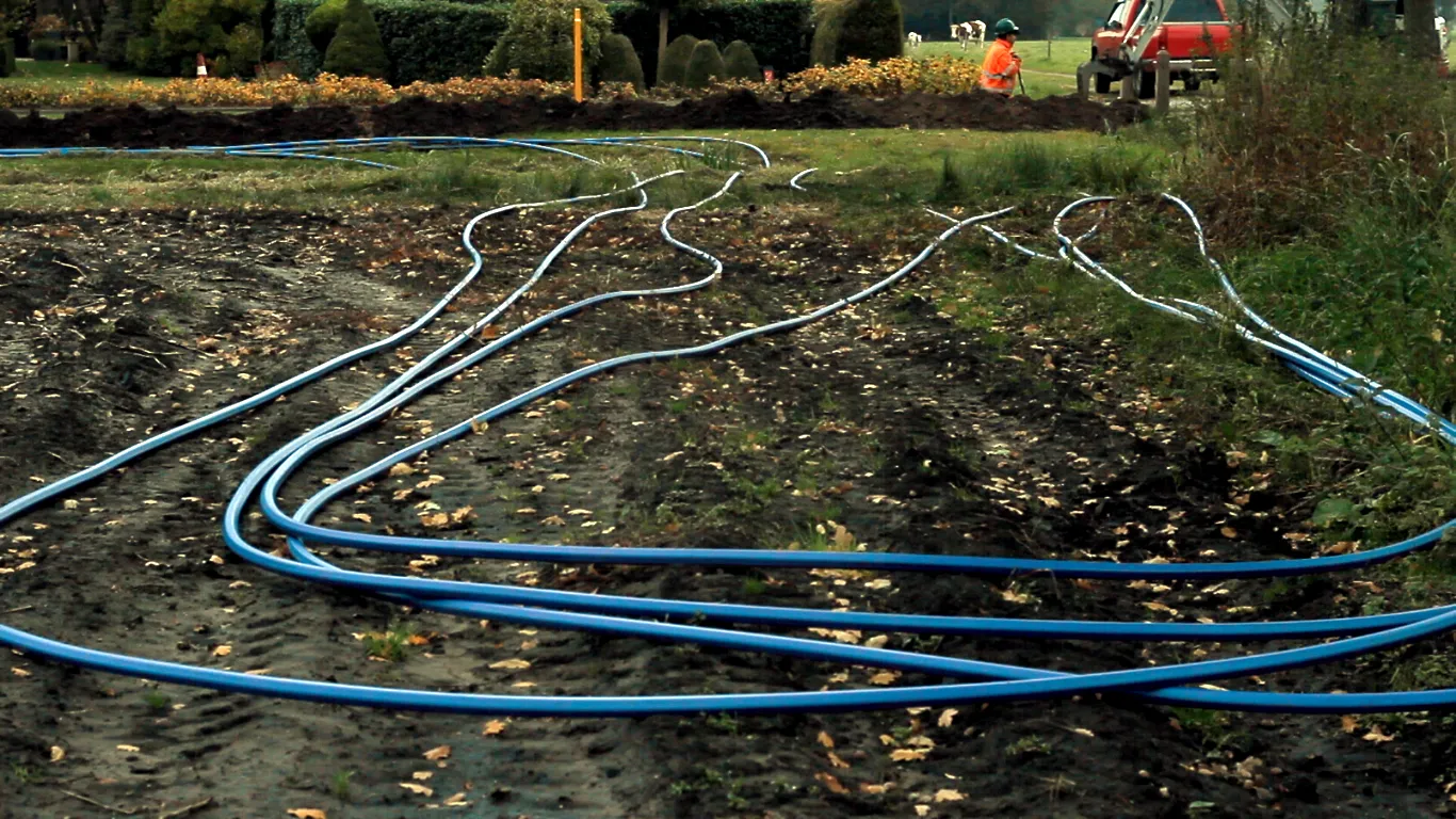 paarse buiskabel koekange