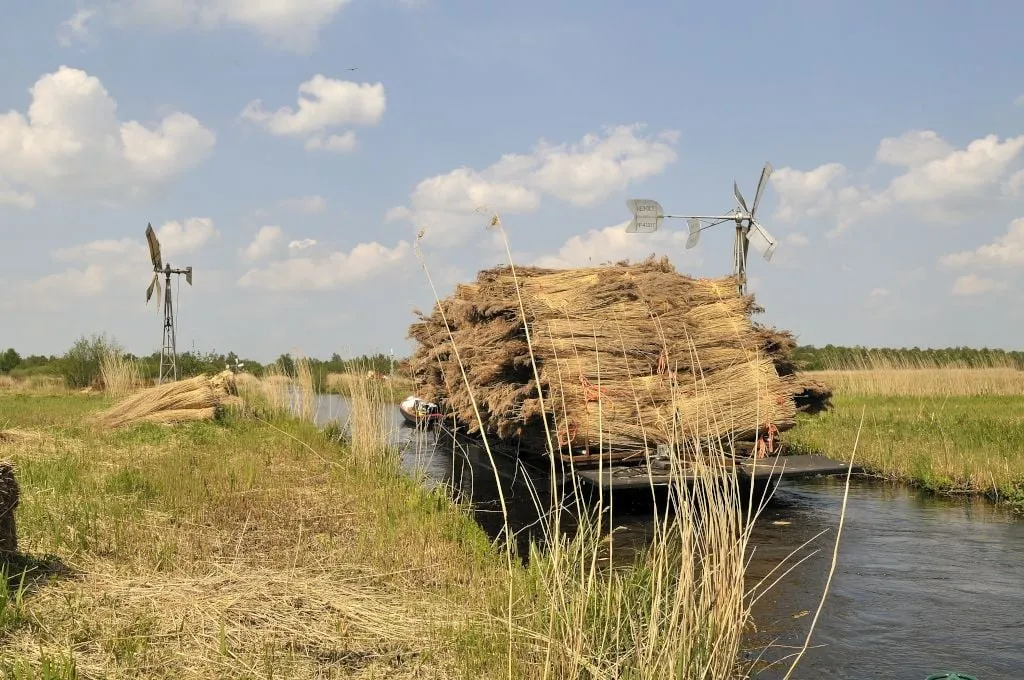 pf riet vaartocht
