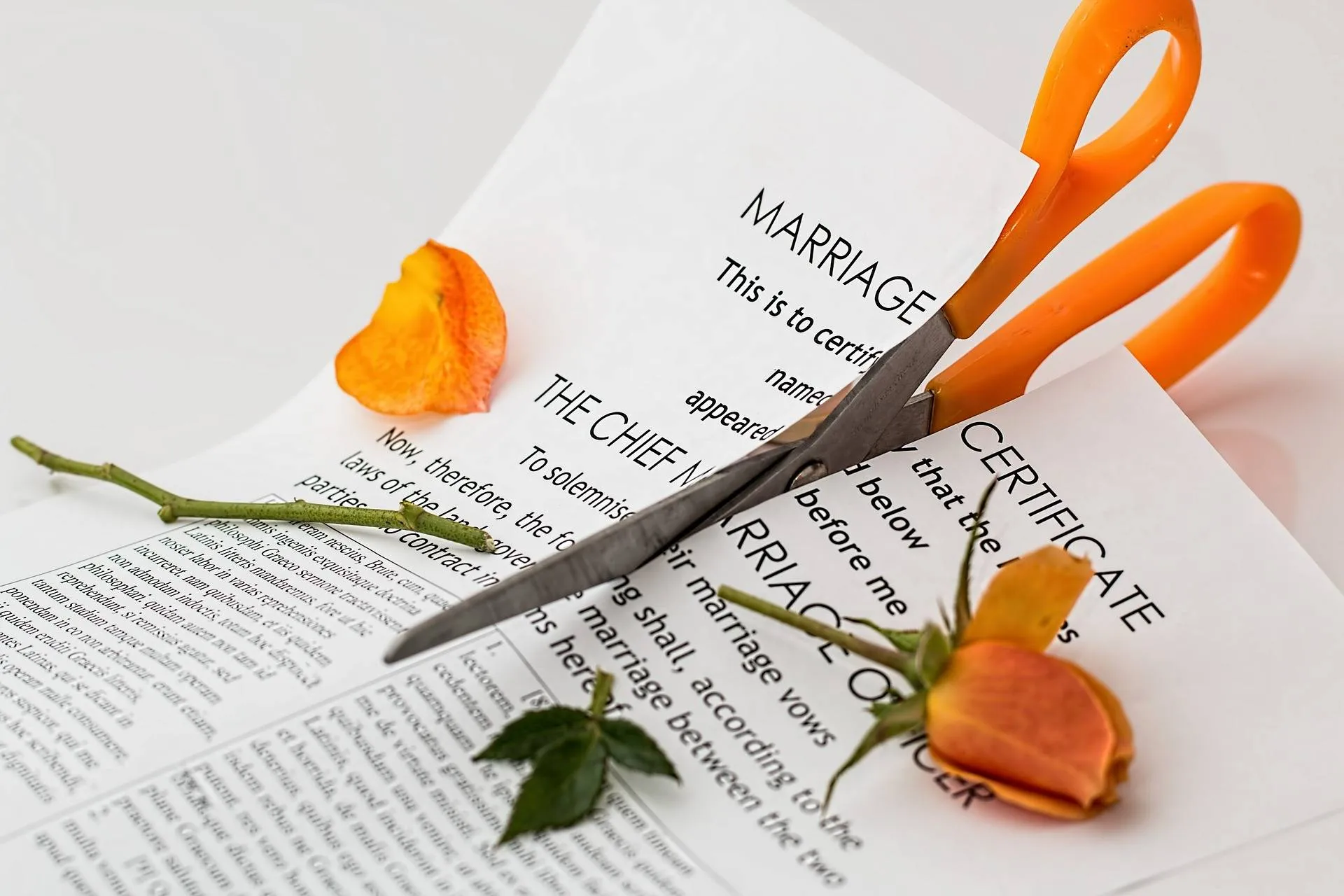 pixabay echtscheiding divorce 619195 1920 1