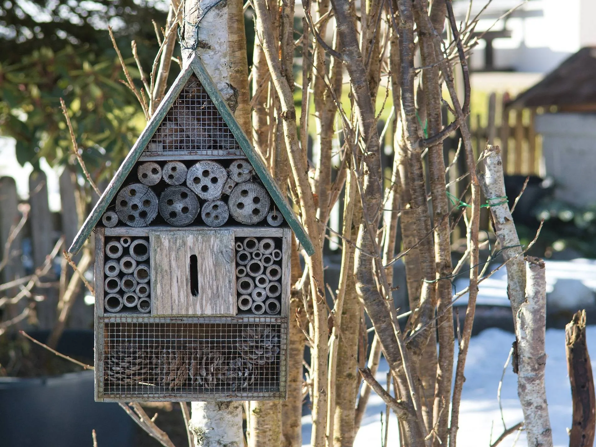 pixabay insect hotel 4883702 1920