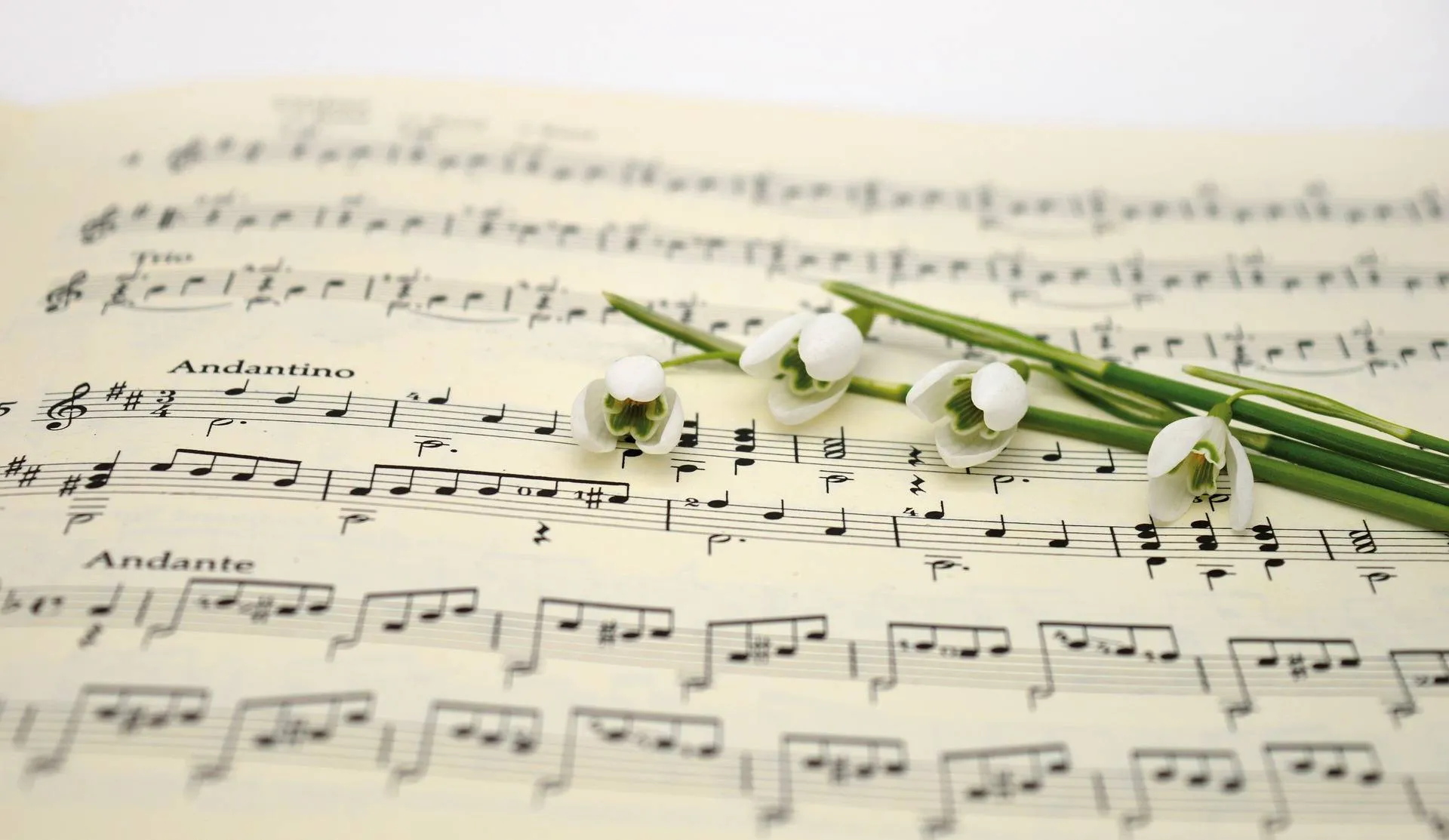 pixabay music g2eba1e2c3 1920