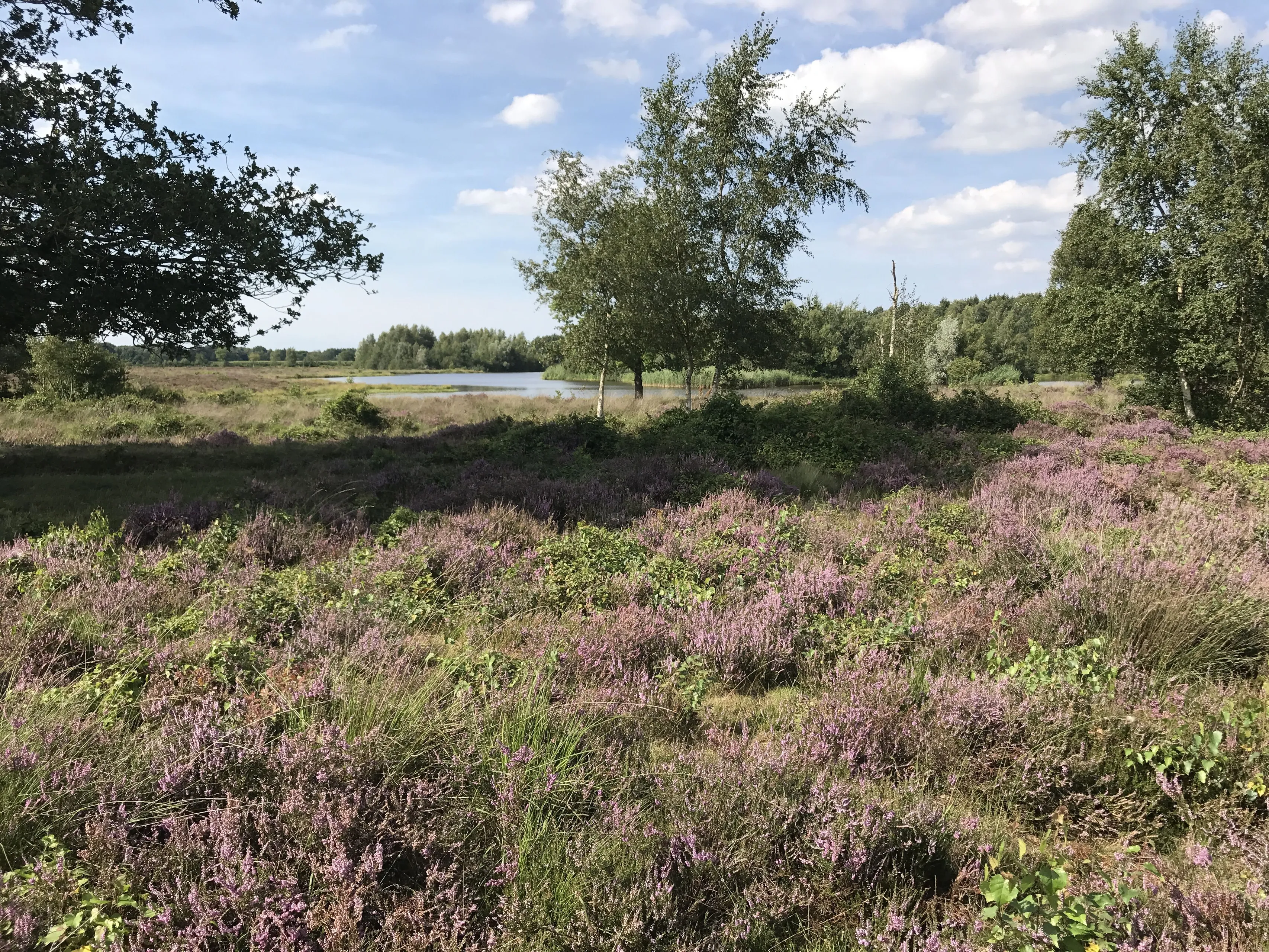 pn01092017 takkenhoogte1