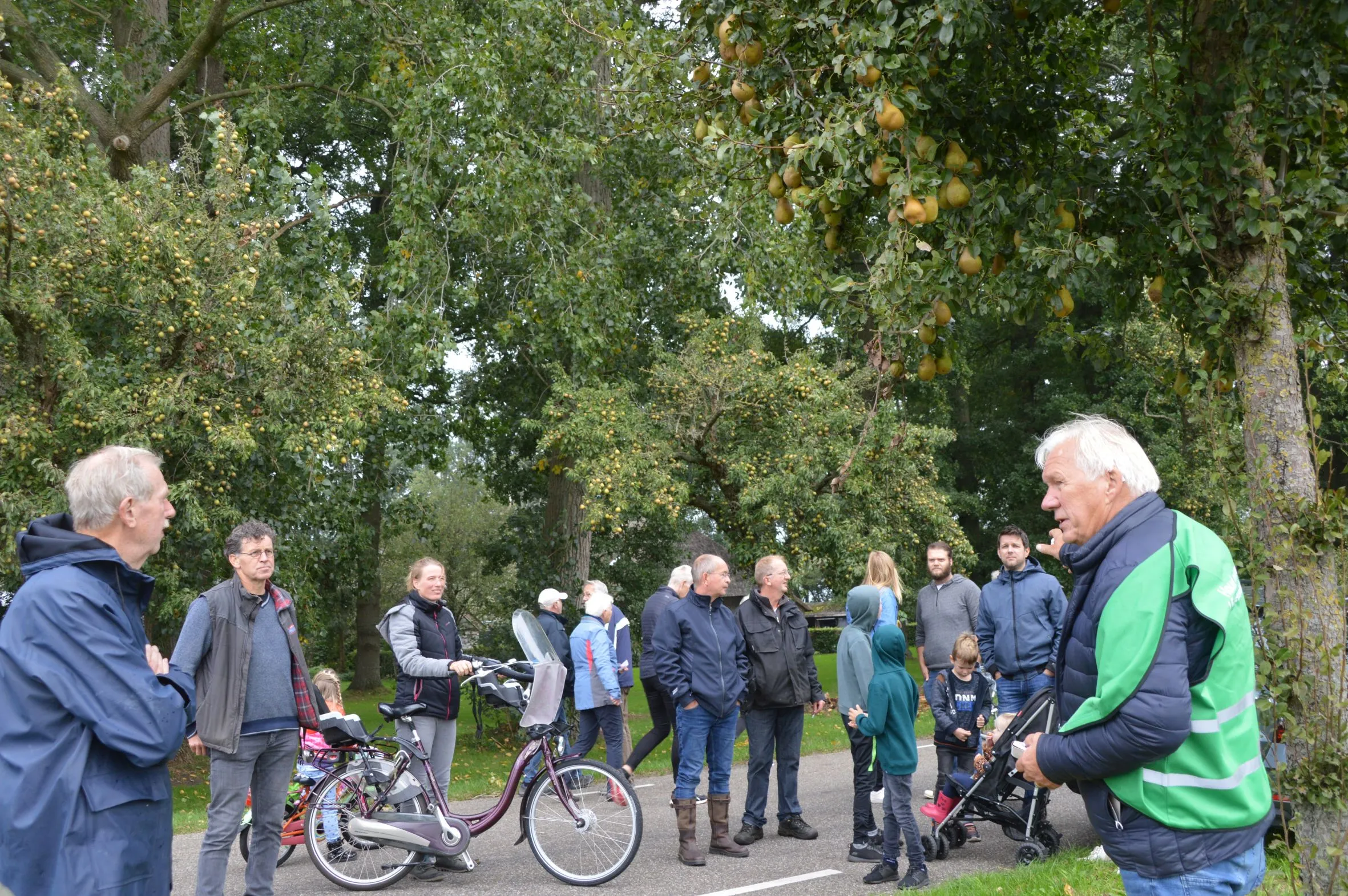 pn03102020 perenpluk27