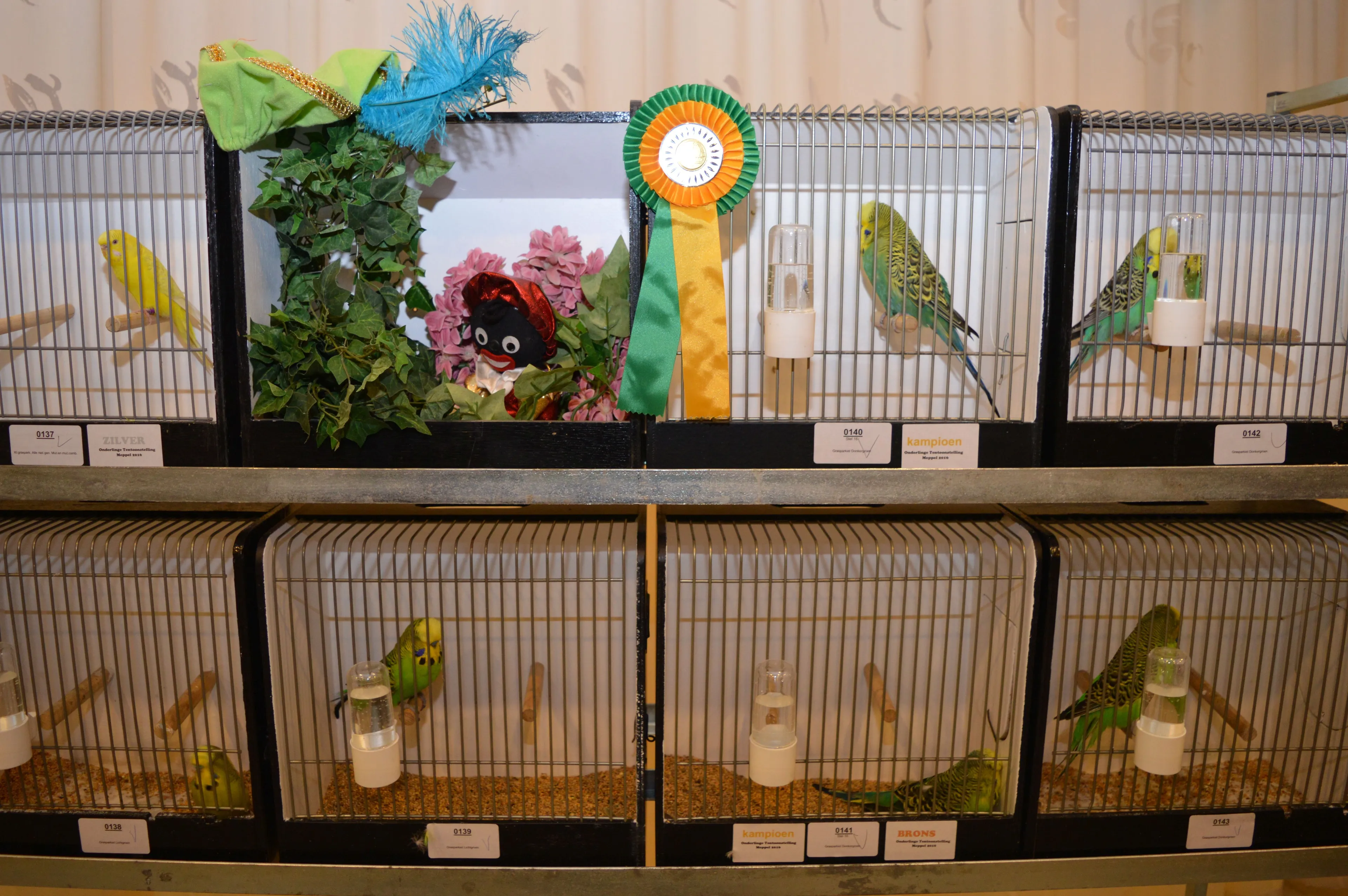 pn17112016 vogelweelderuinerwold4