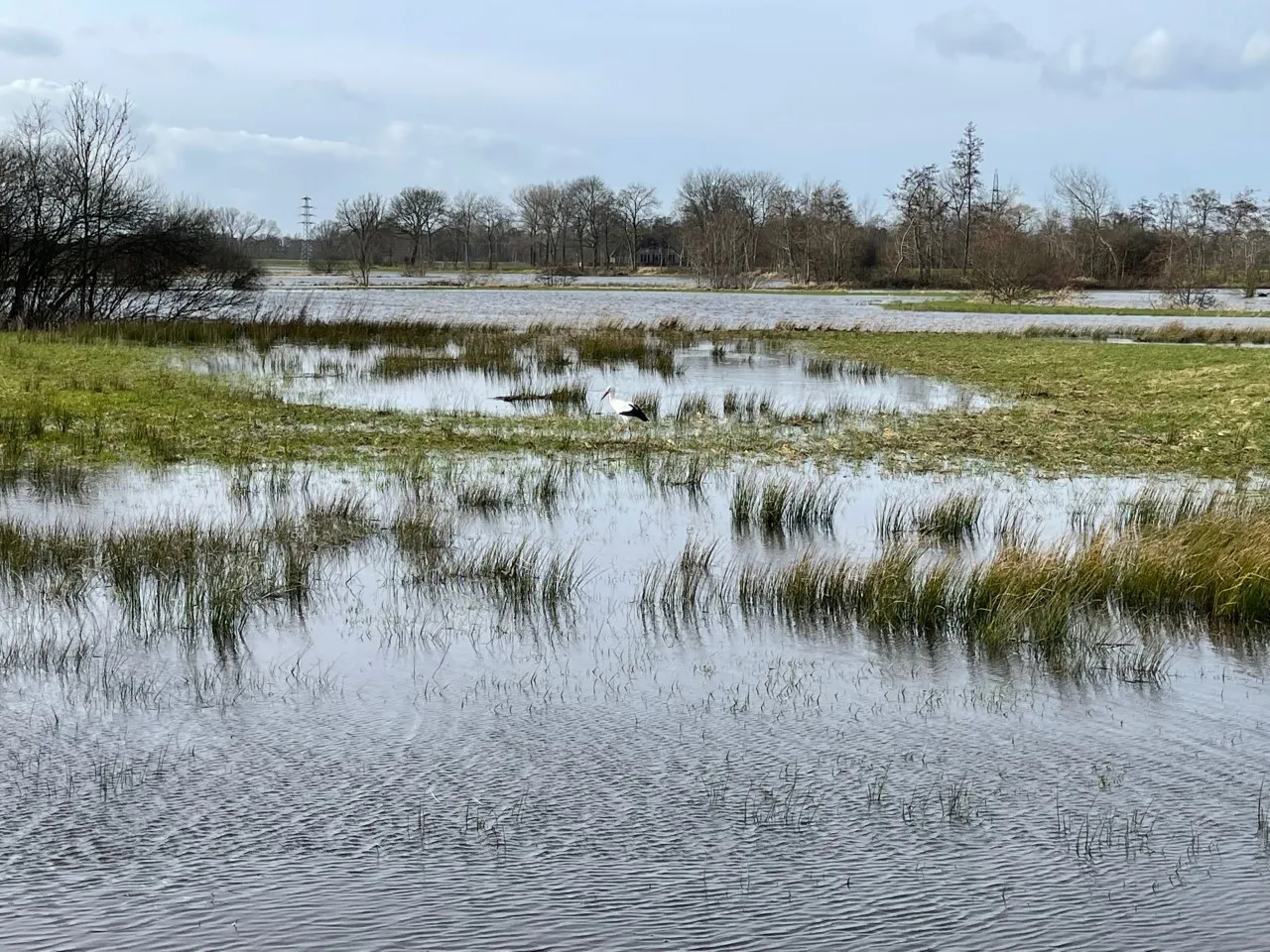 pn19022022 meppel water reest