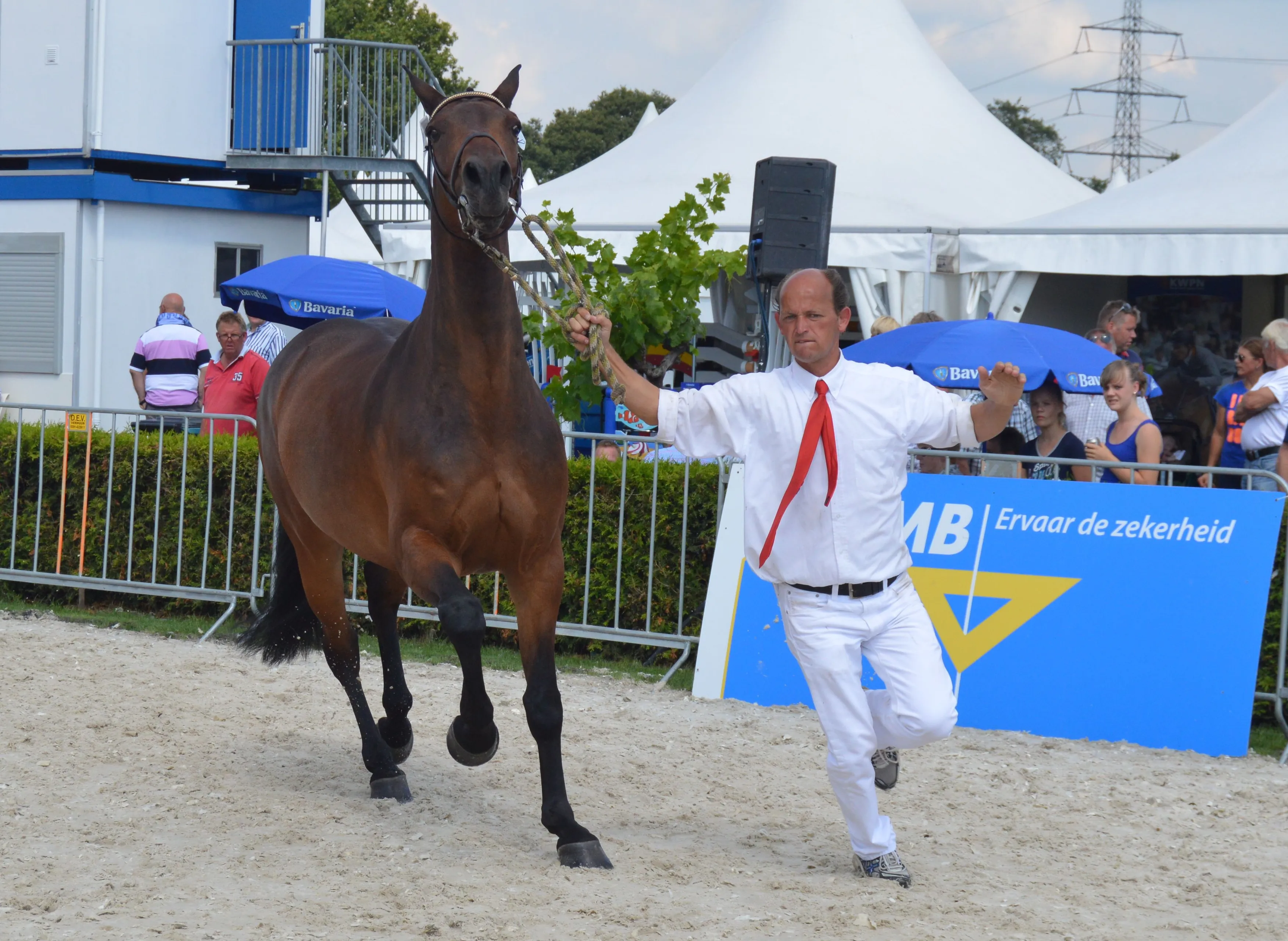 pn22072014 kwpnkeuring5