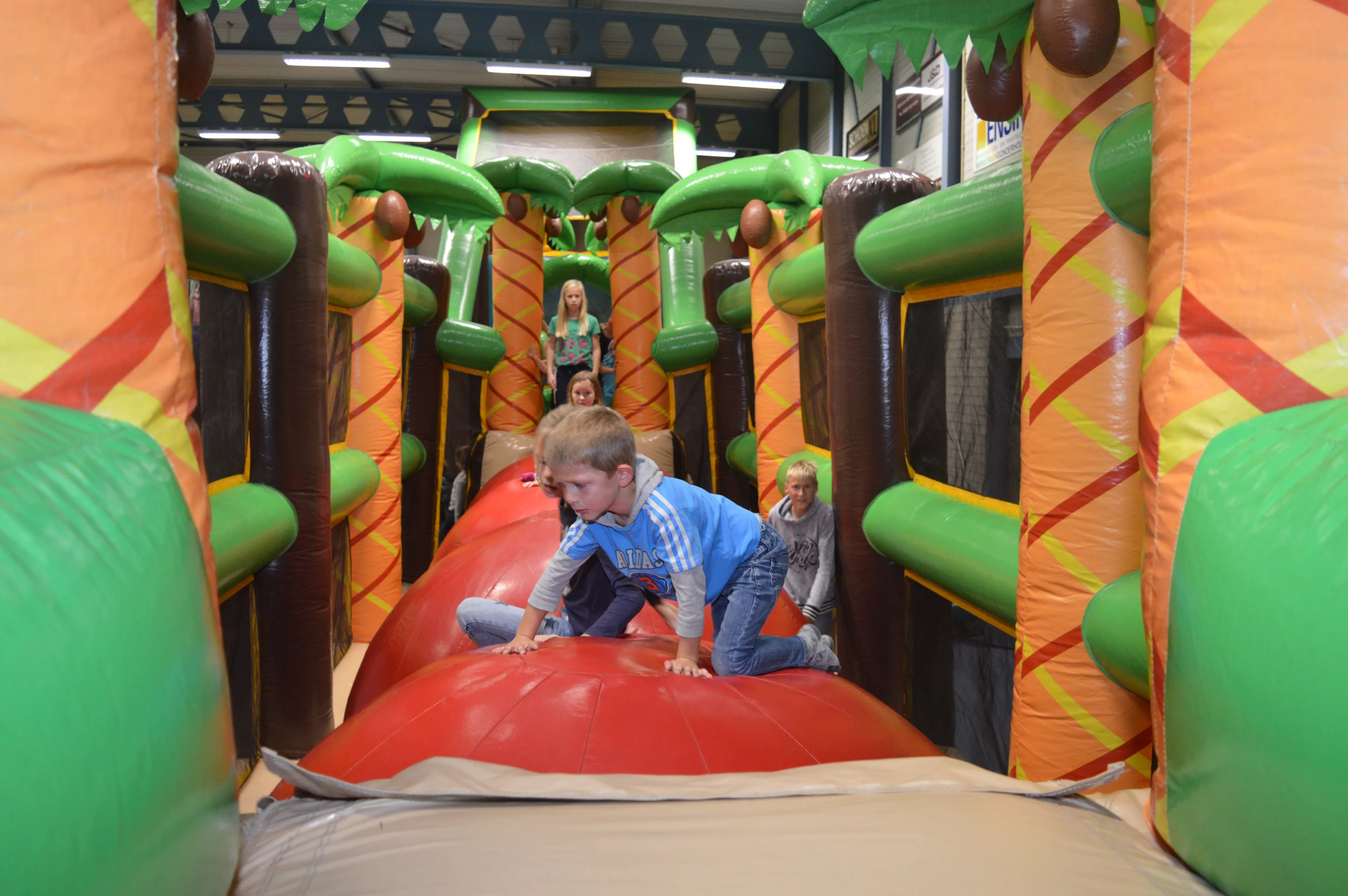 pn23102018 springkussenfestijn ruinerwold1