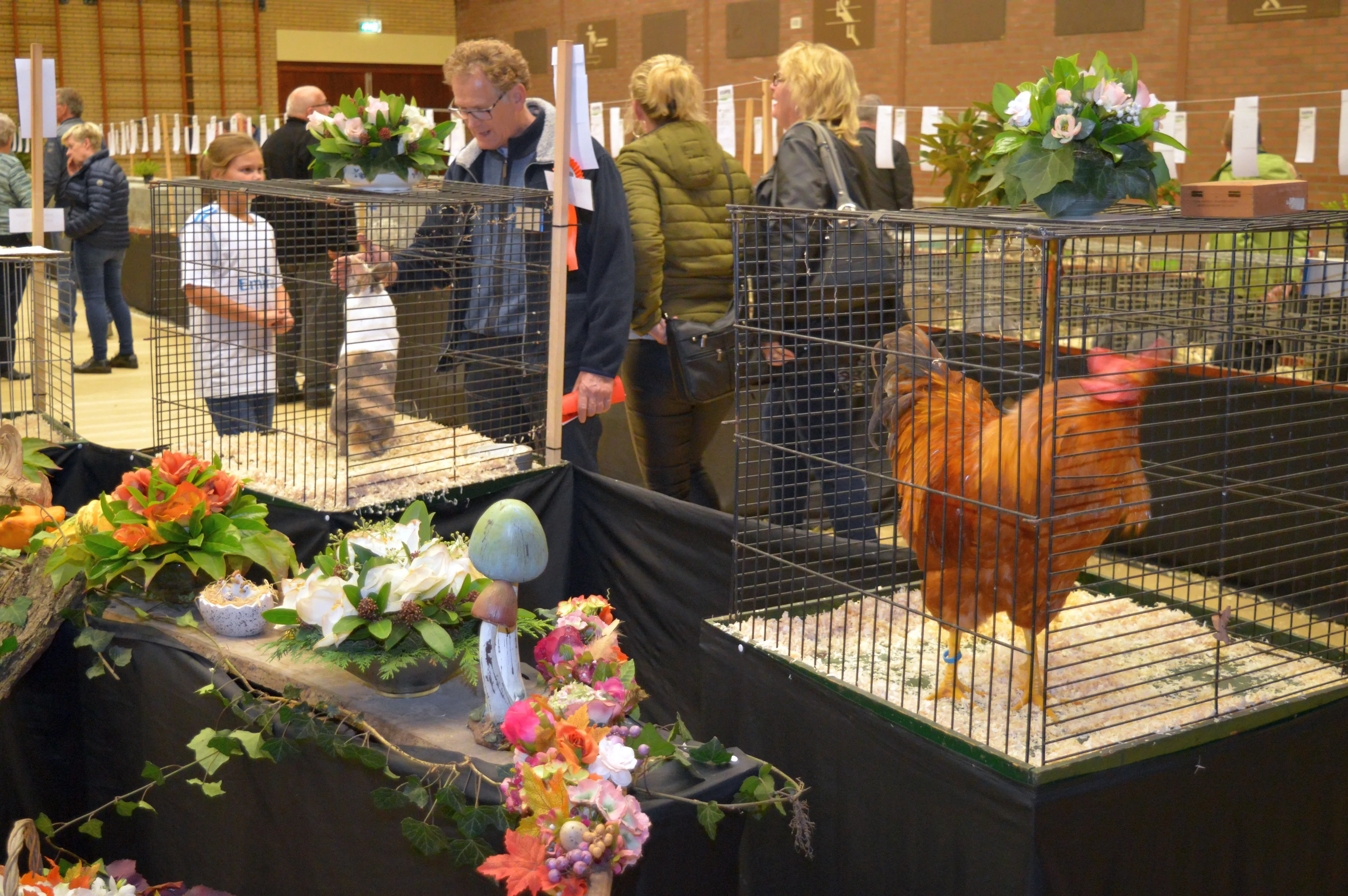 pn25102018 pelsenpluim3