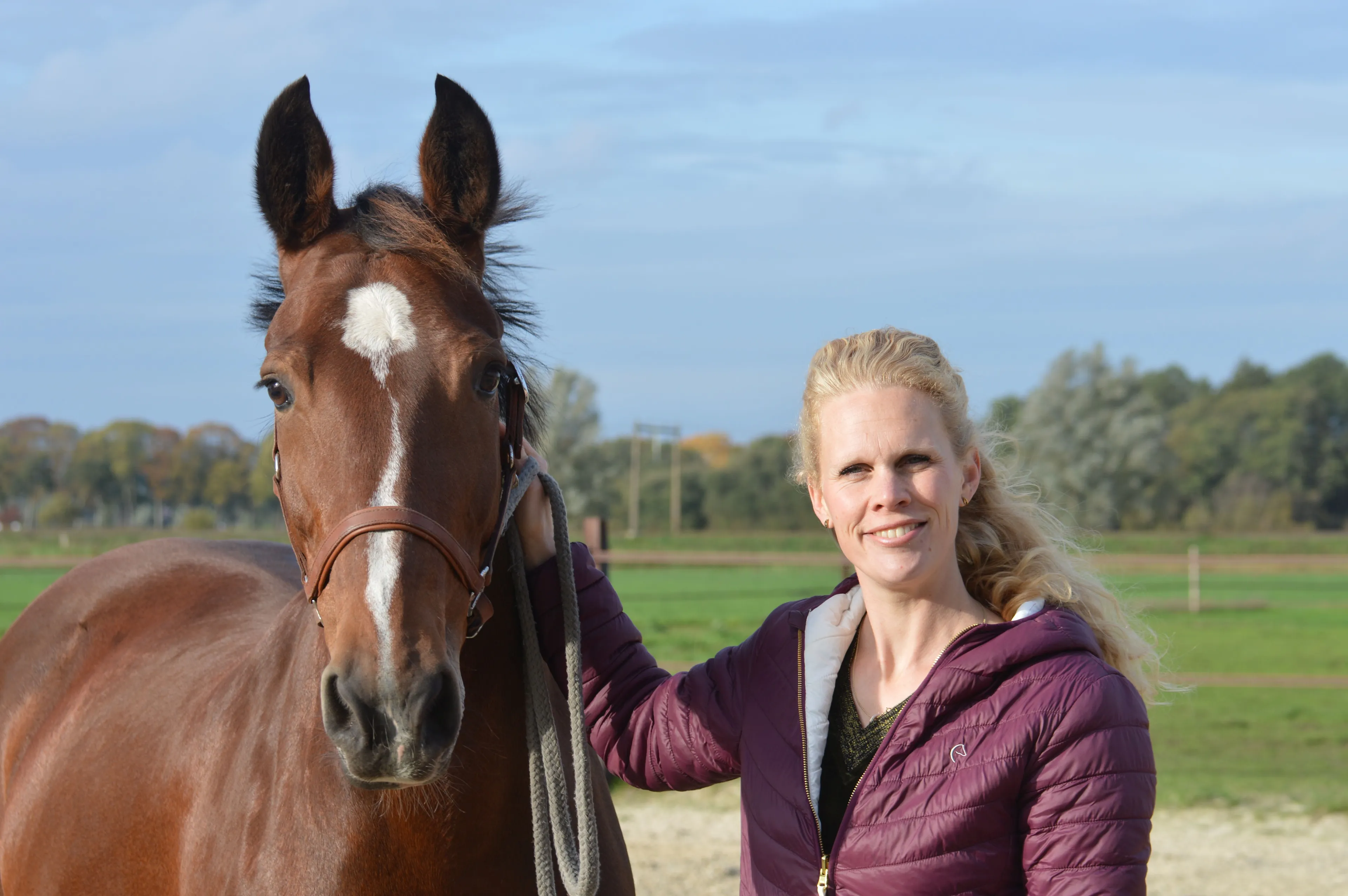 pn25102019 henka rooze2