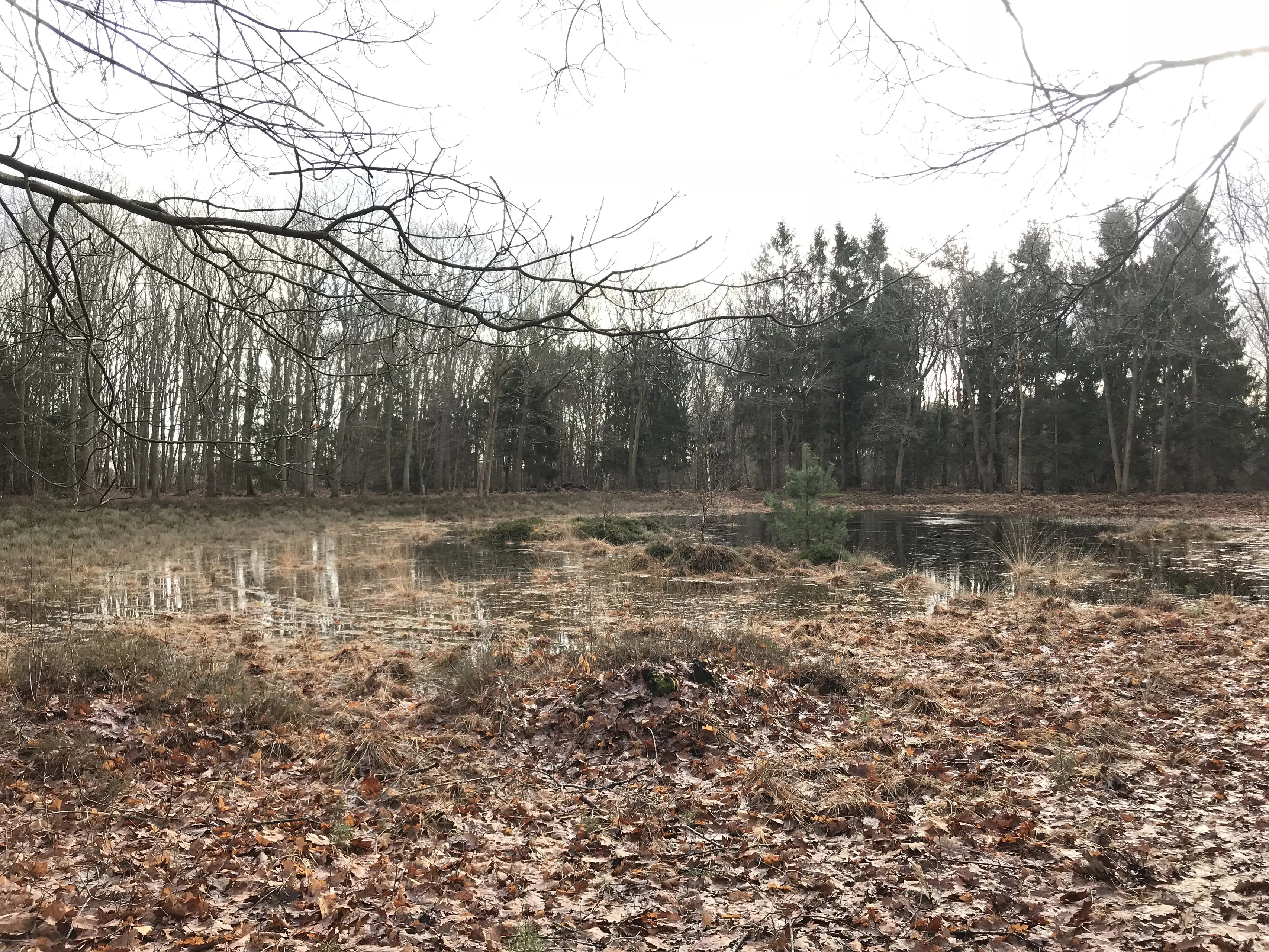 pn28122017 wandeling echten4