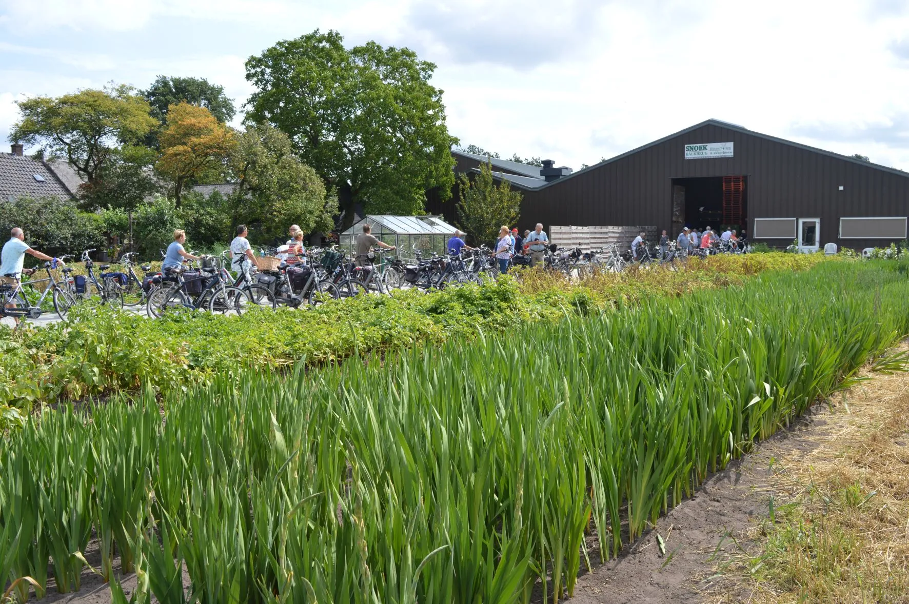 pn31072019 boerderijenfietstocht zuidwolde1
