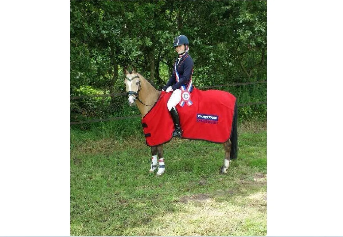 pony2