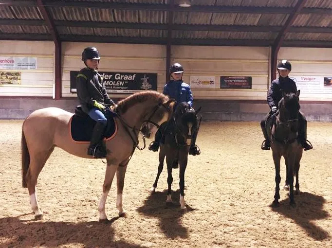 ponyrijden koekange2