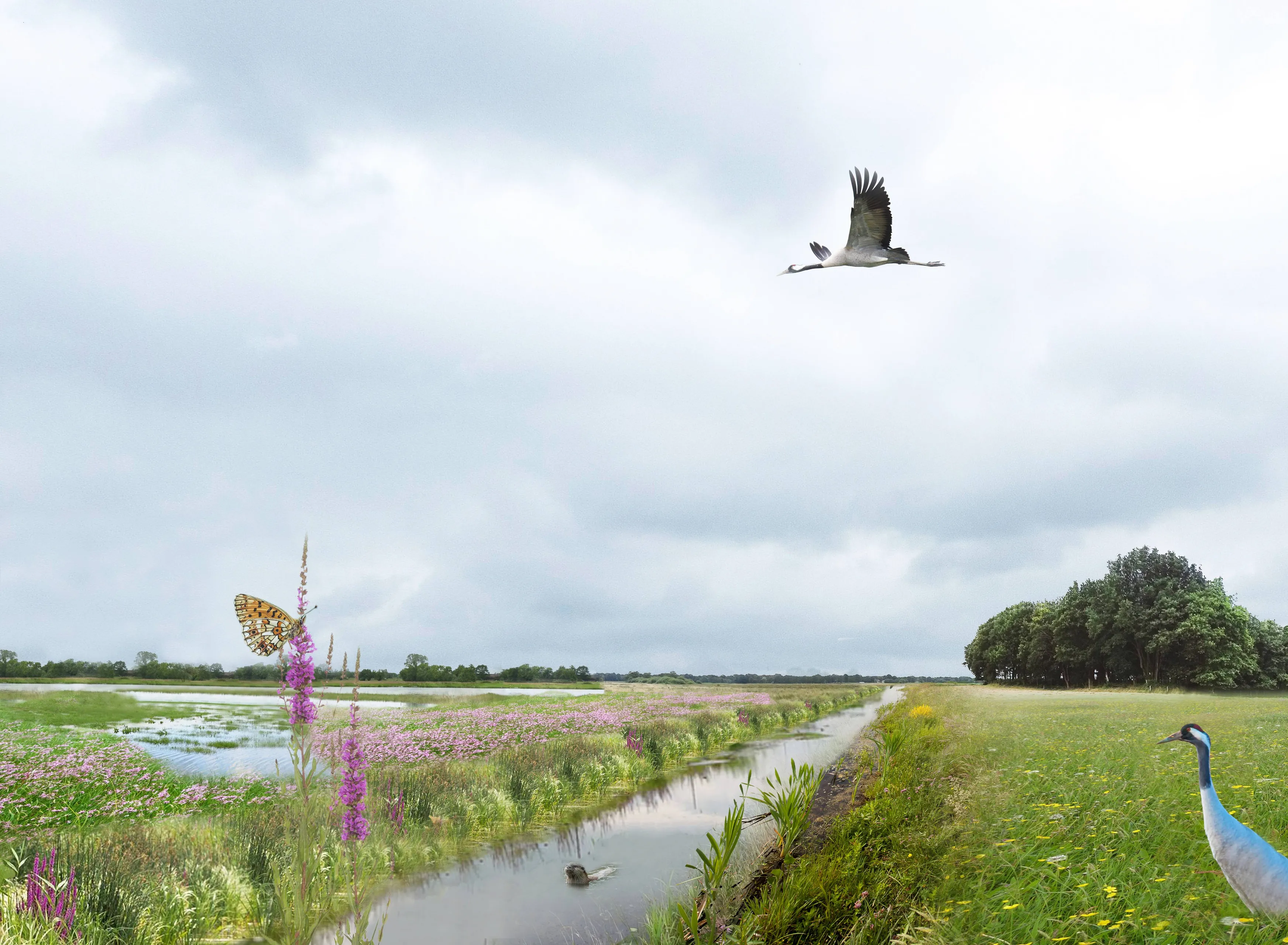 punthorst impressie streitenvaart project vledders en leijerhooilanden