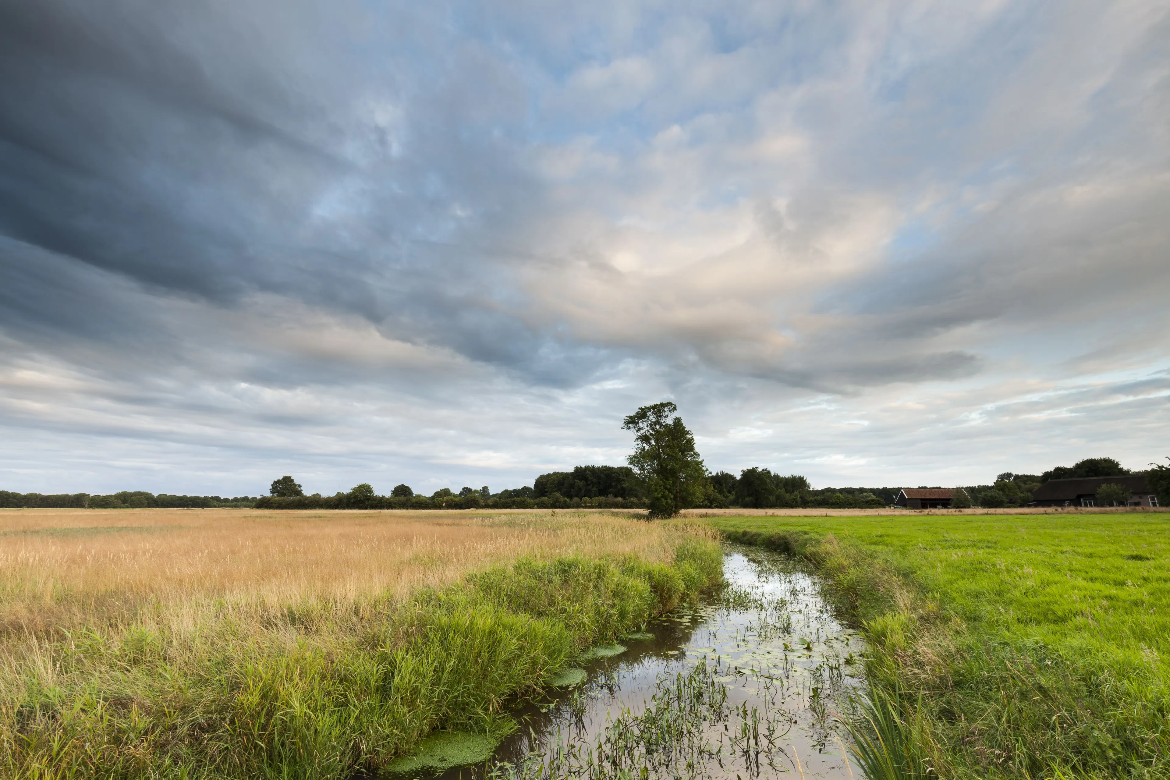 reestdal foto karla leeftink 3