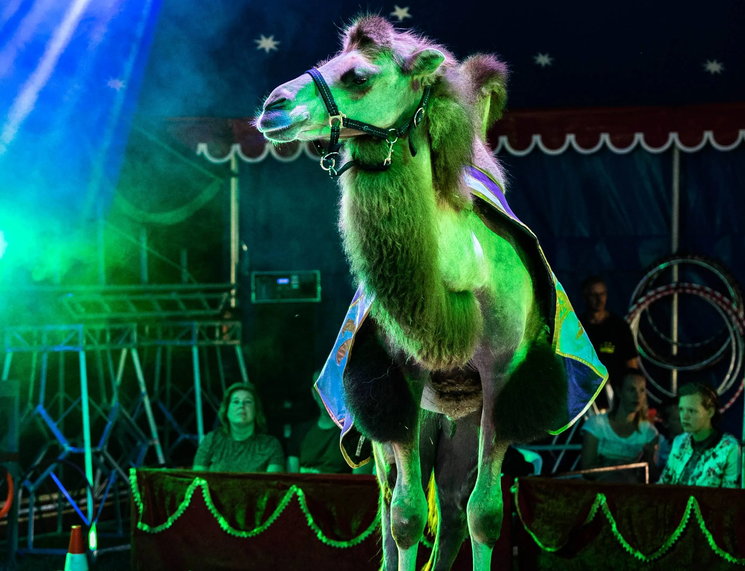 ruinen circus bossle2 jans schulting