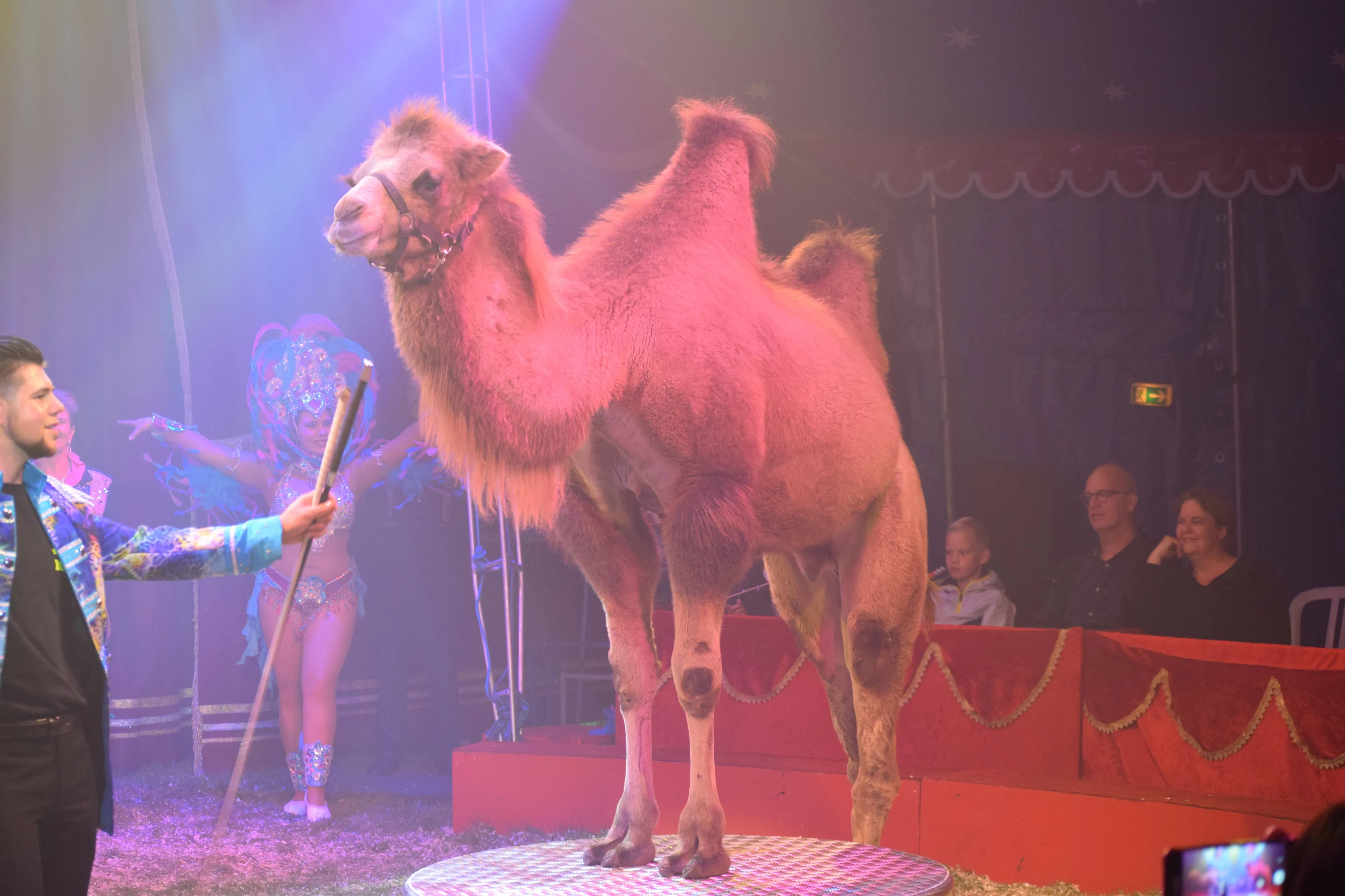 ruinen circus fotograaf steffen wolf sena entertainment group