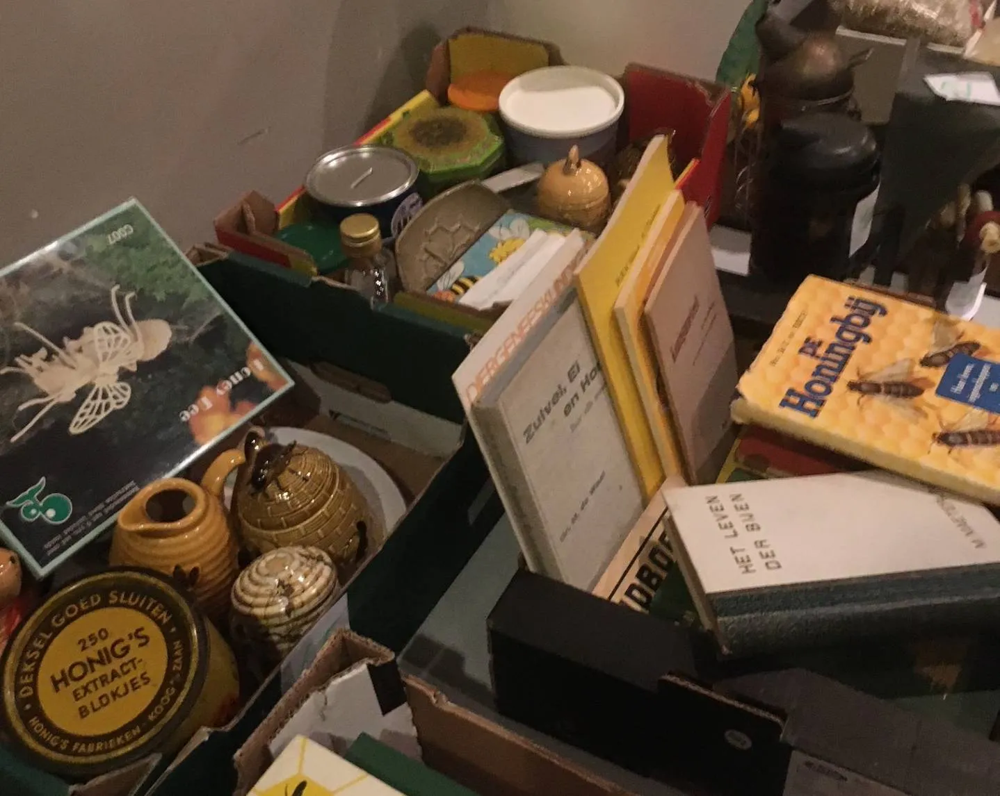 ruinen hijenboelavond