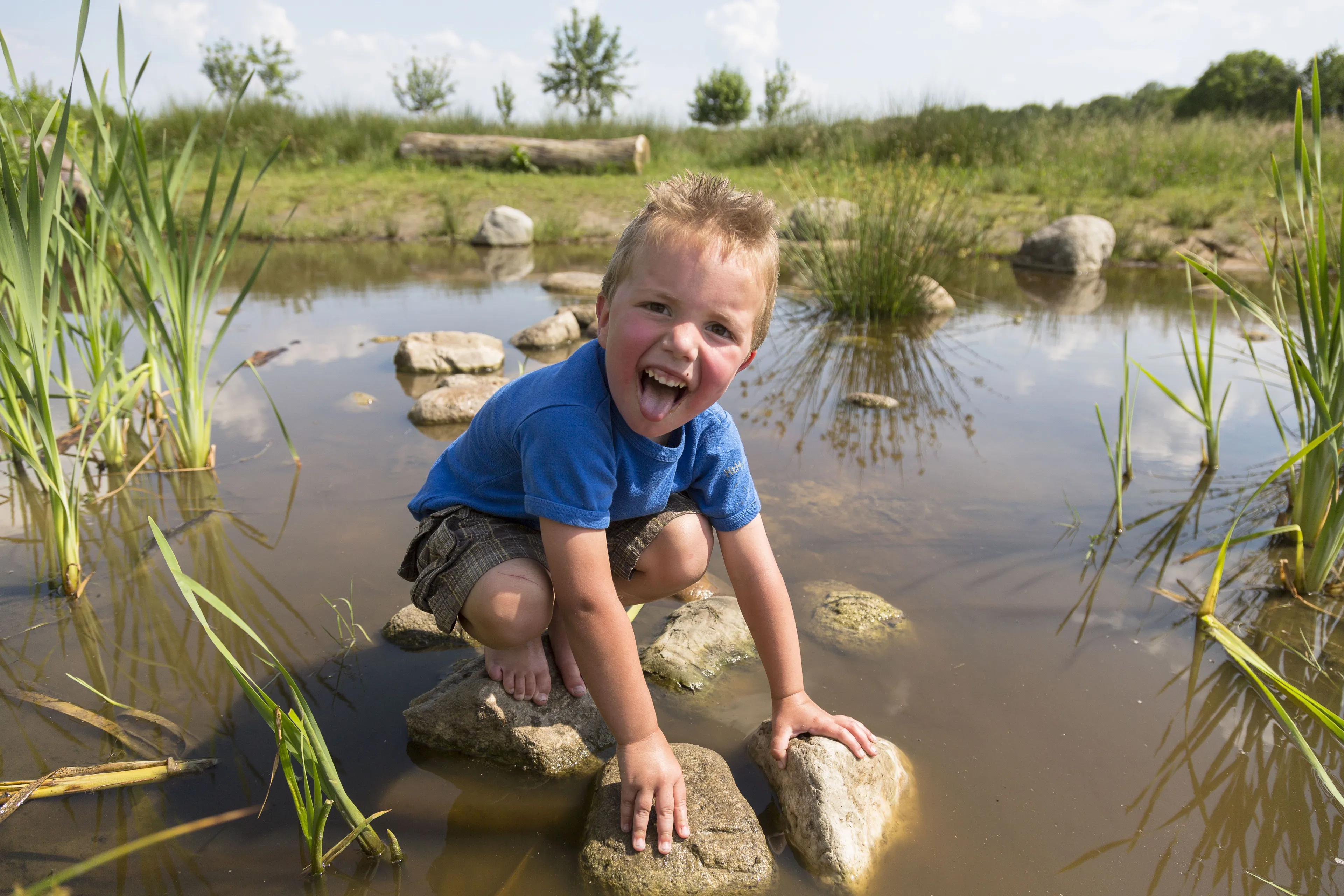 ruinen insectenpotten maken andries de la lande cremer