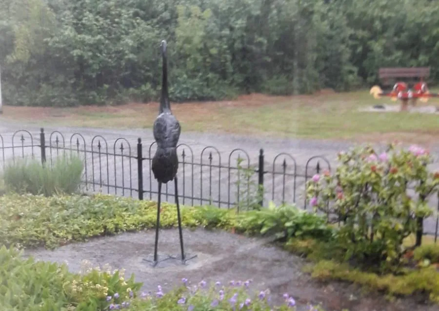 ruinen kraanvogel beeld4
