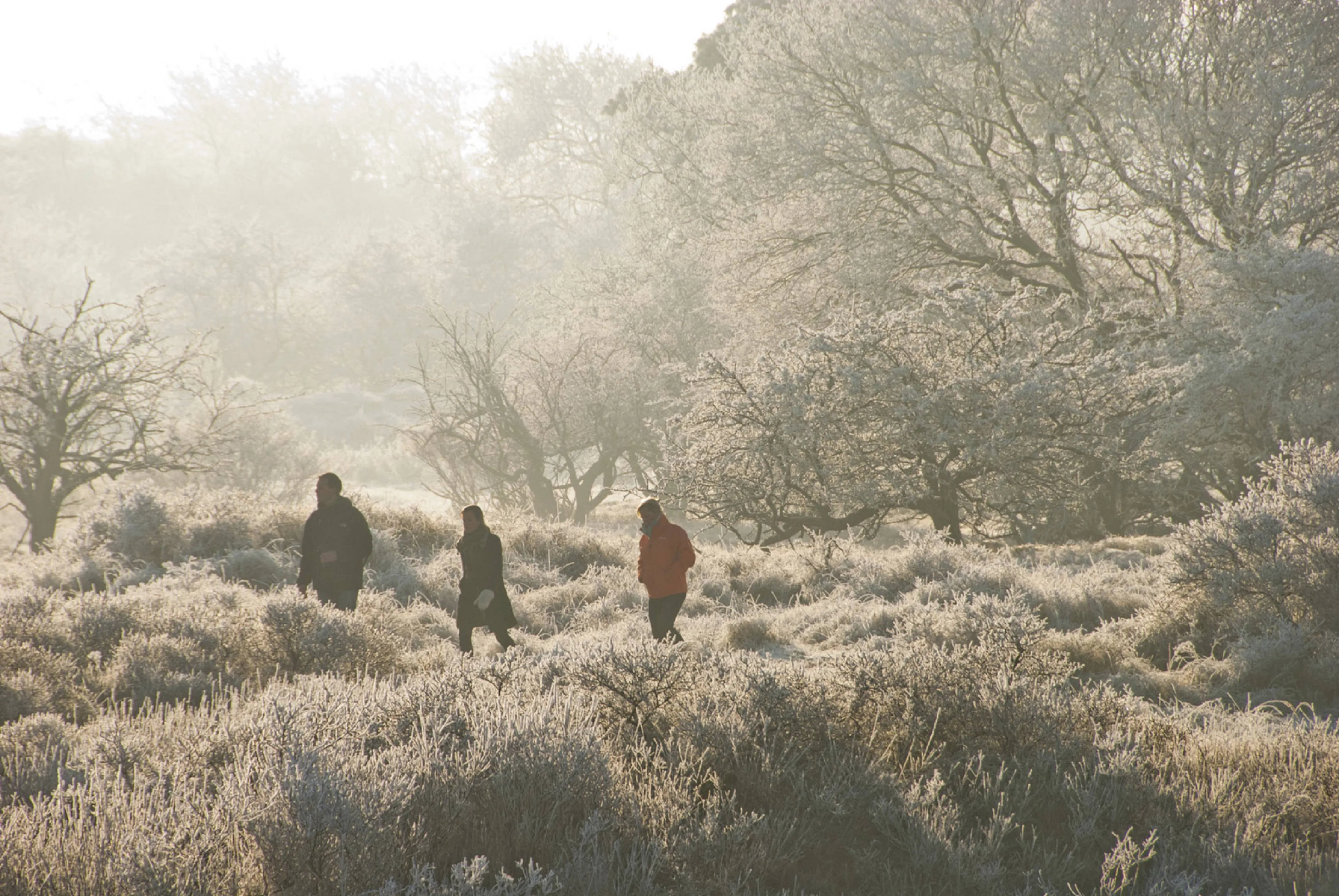 ruinen snertwandeling 1 rene koster