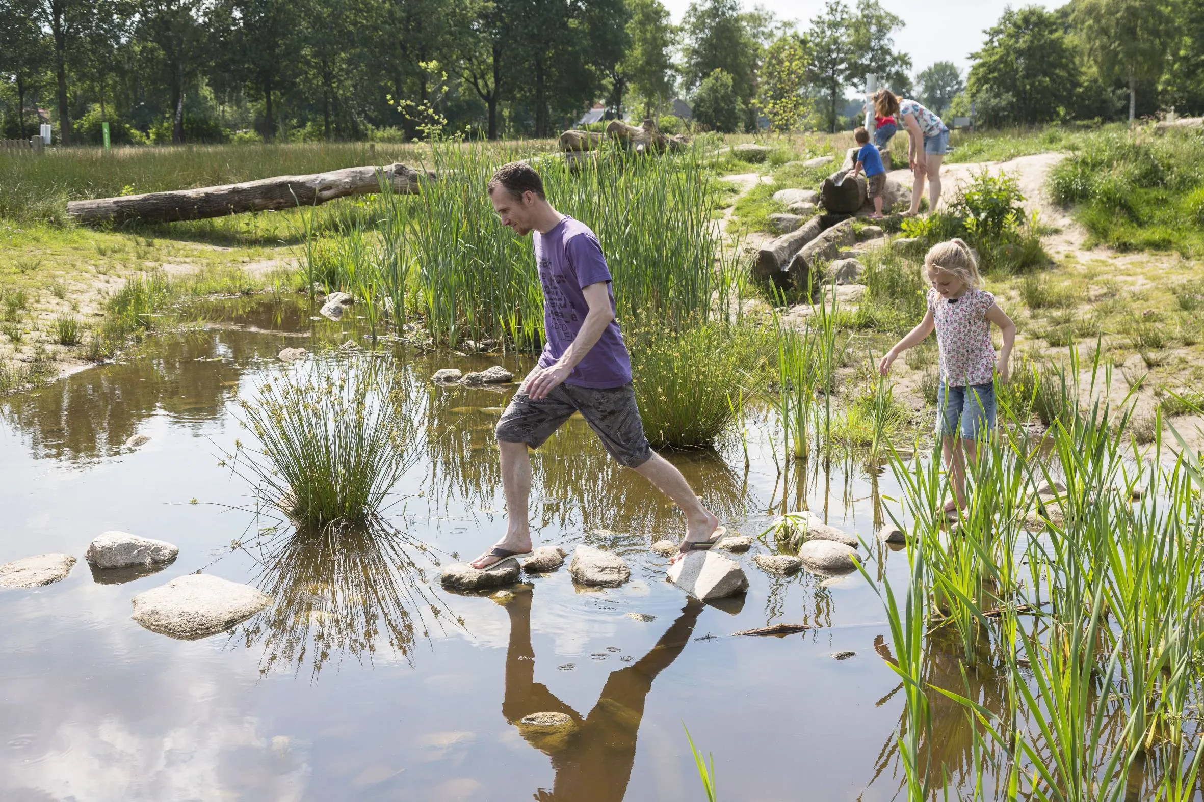 ruinen speelnatuur andries de la lande cremer