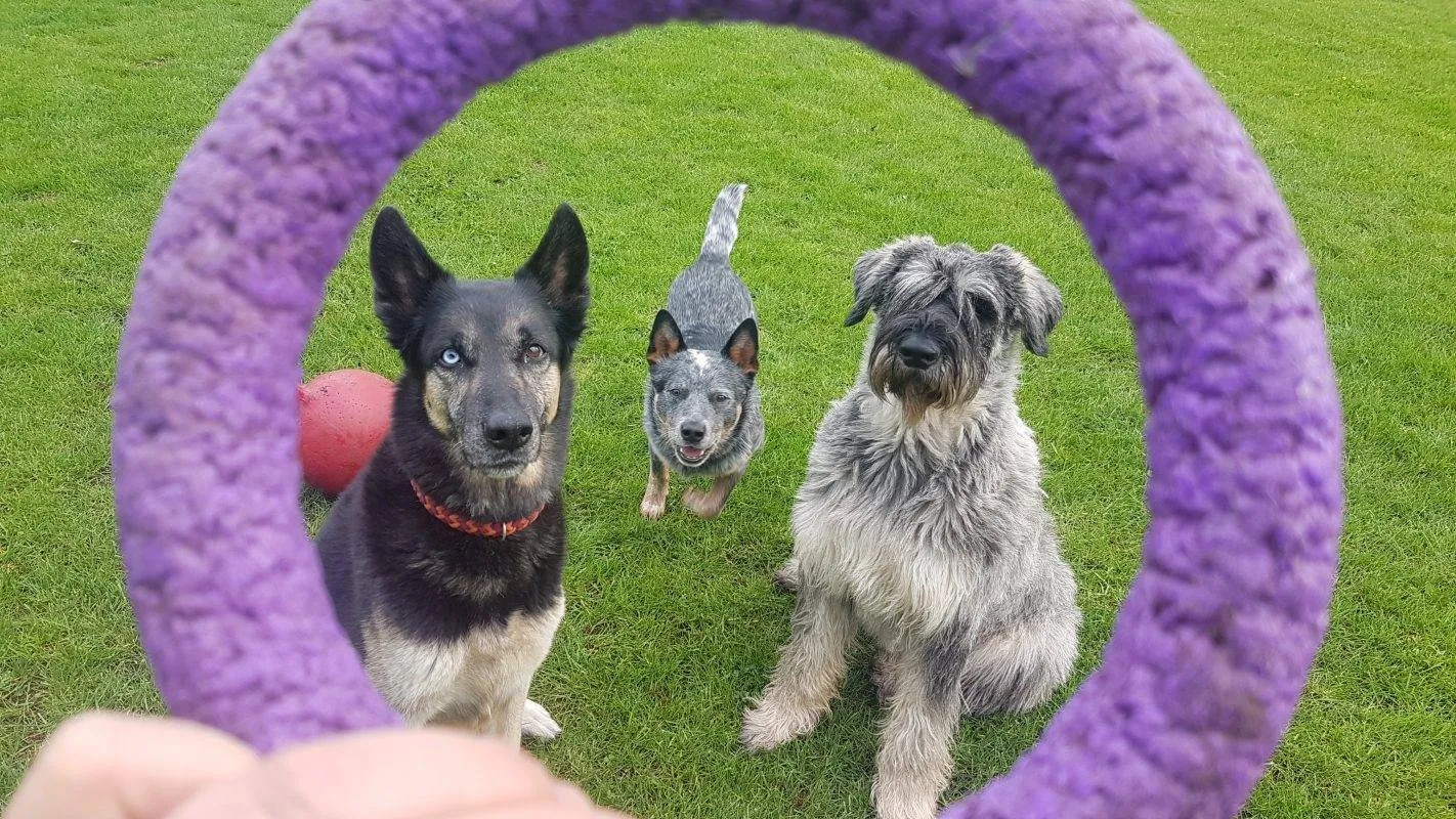 ruinerwold natte neuzenhoeve