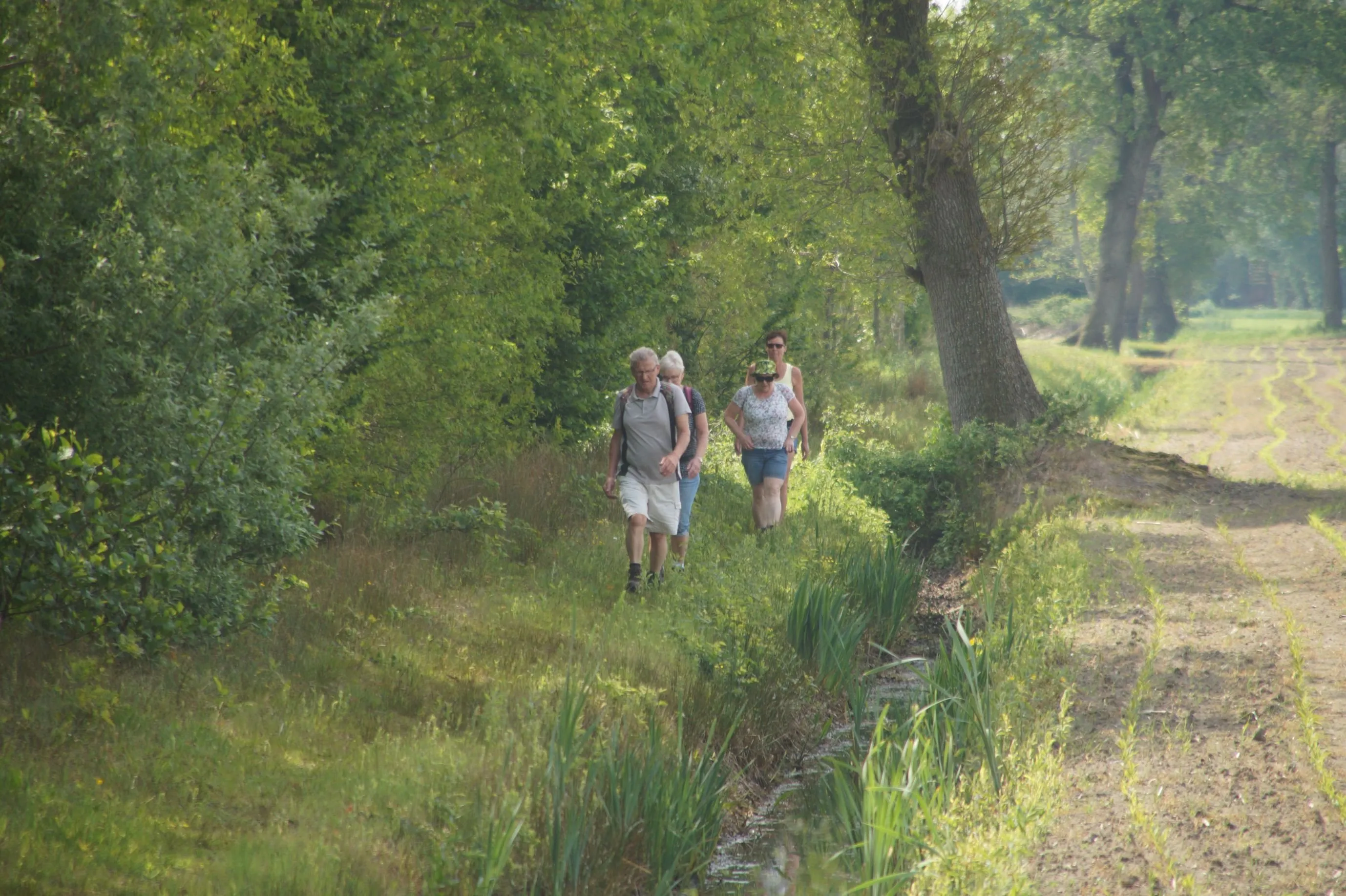 schakel wandeltocht koekange